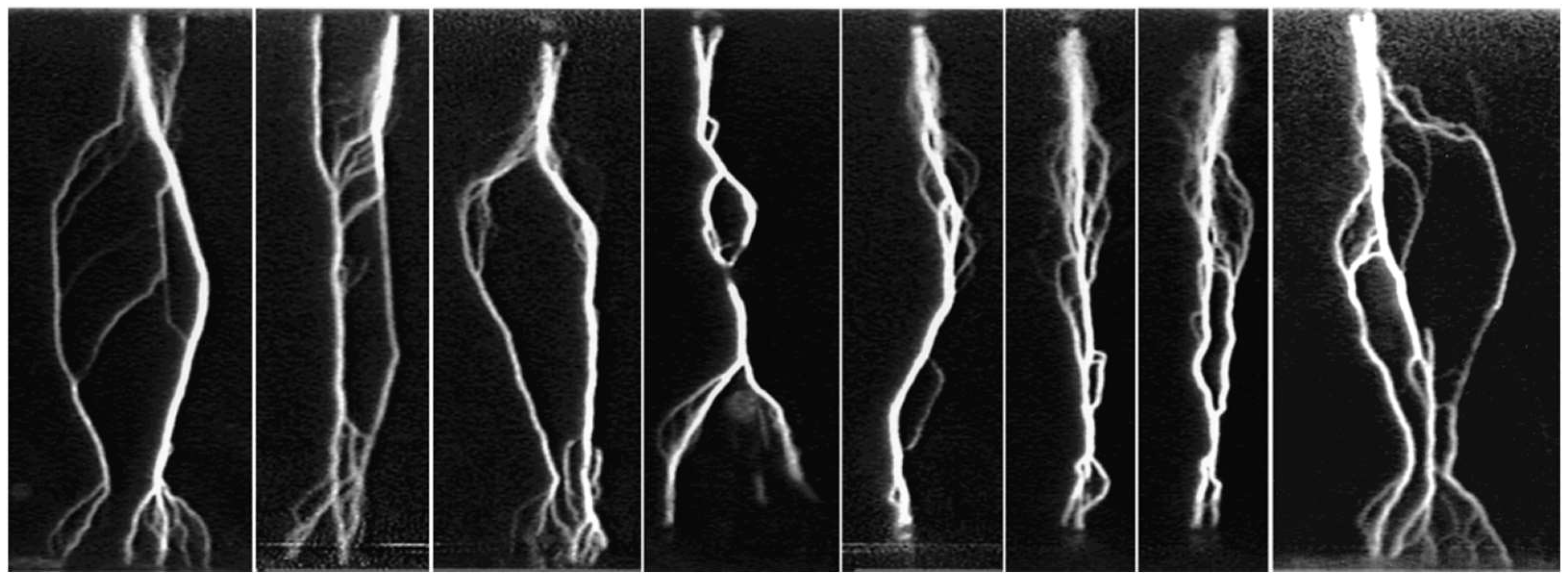 Applsci 15 00645 g009