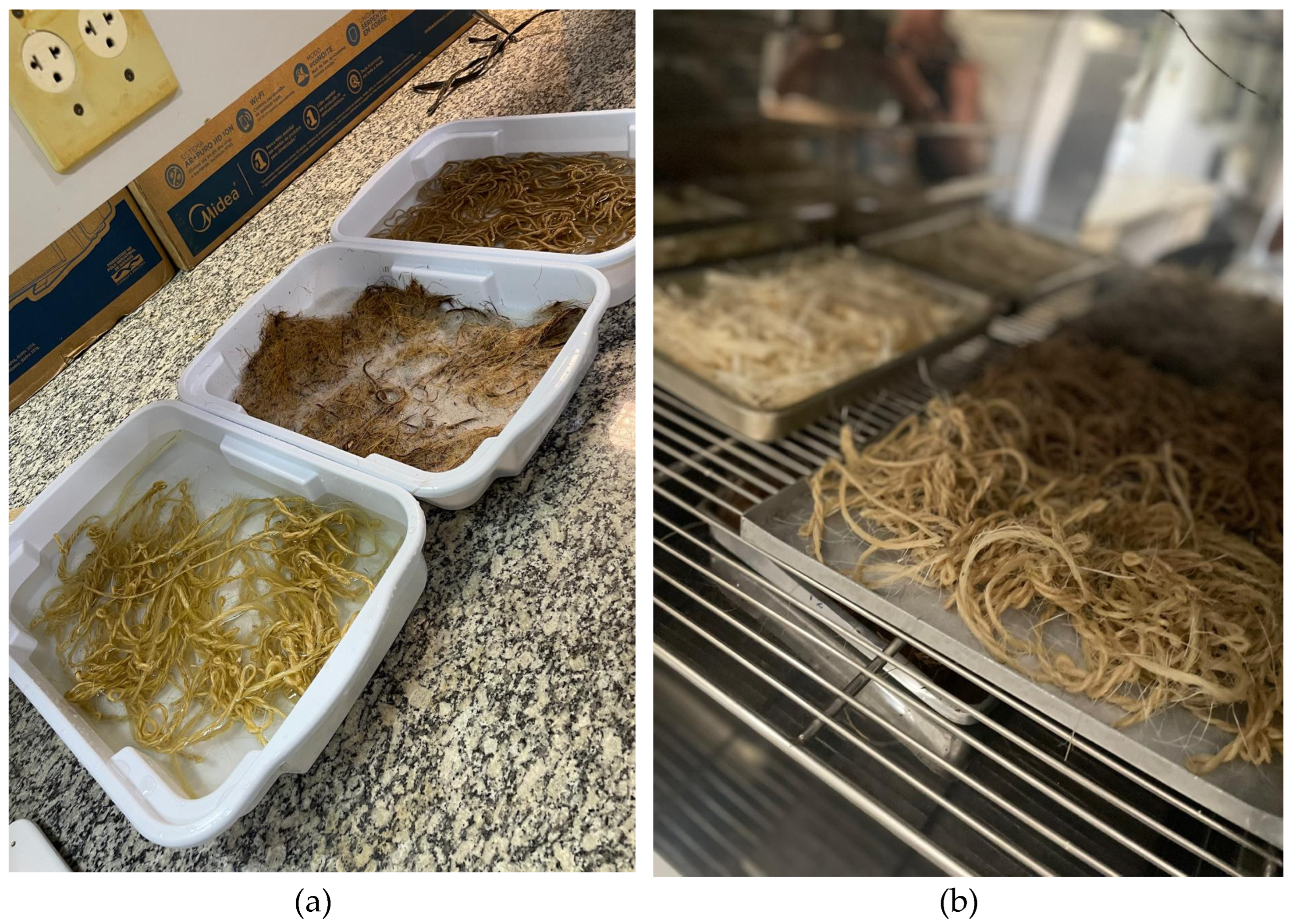 Applsci 15 00653 g002