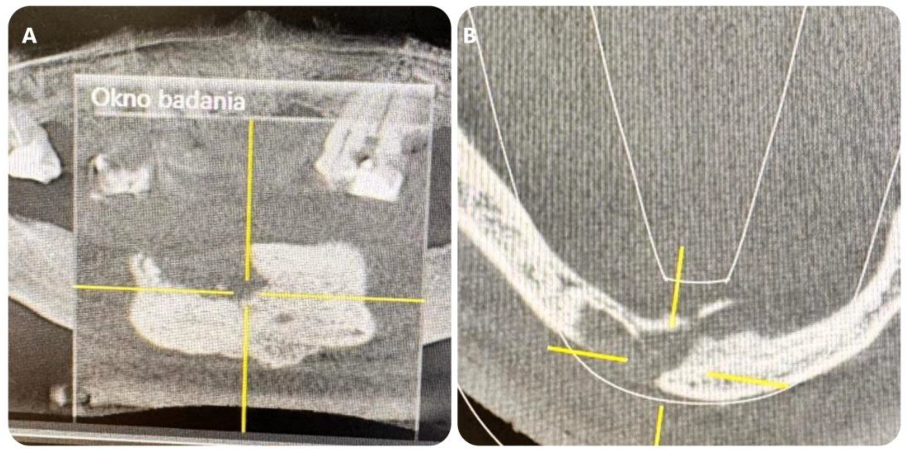 Applsci 15 00670 g001