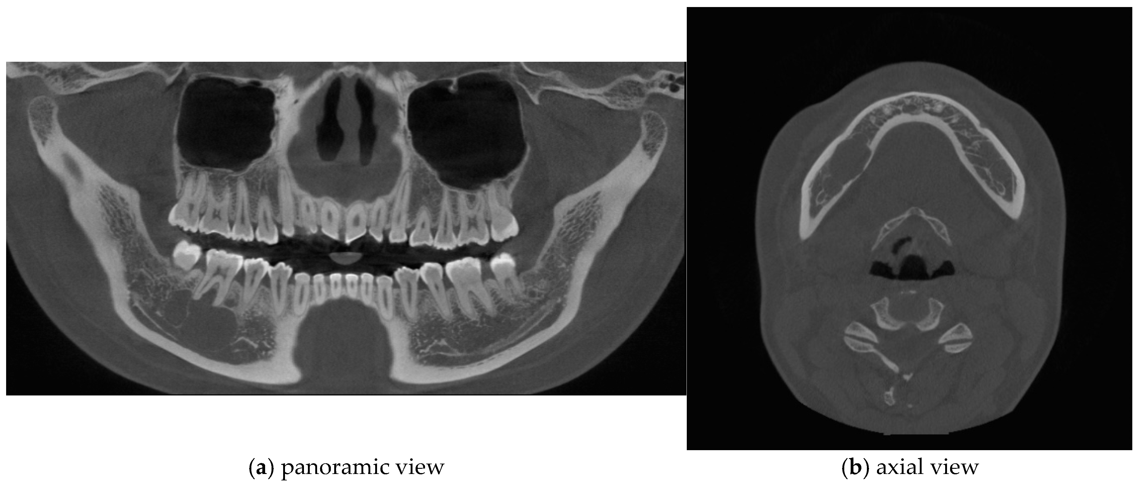 Applsci 15 00687 g002