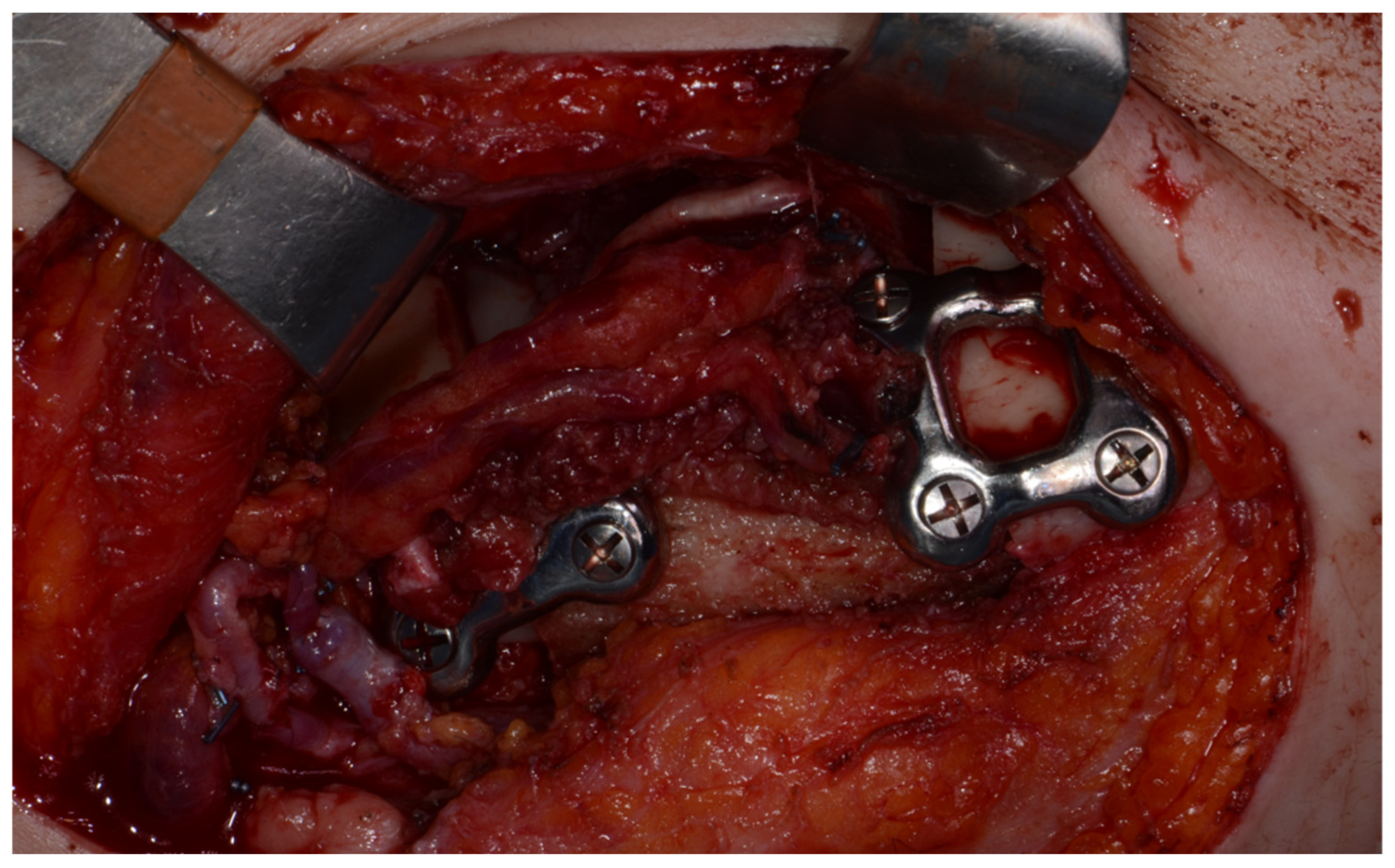 Applsci 15 00687 g009