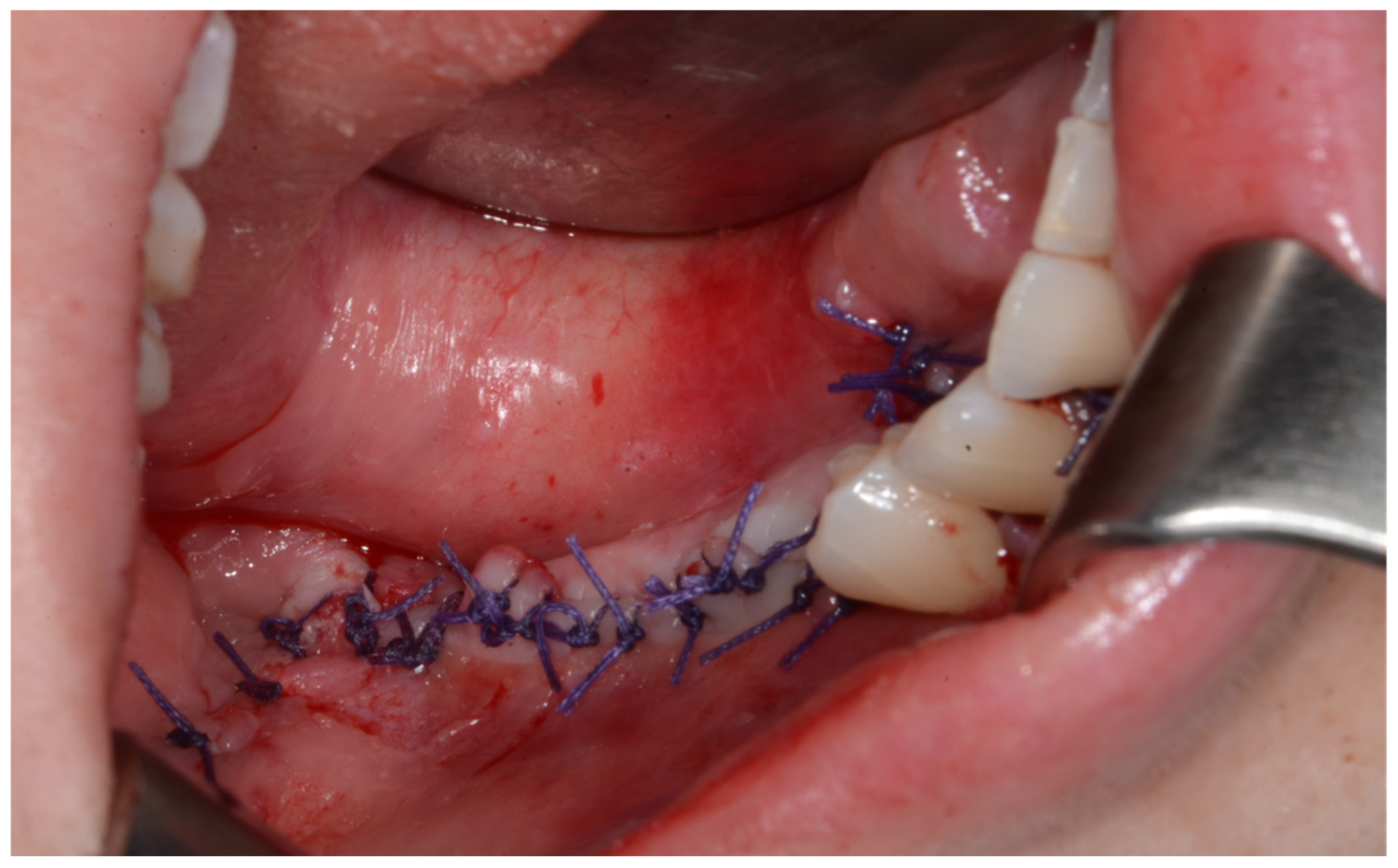 Applsci 15 00687 g010