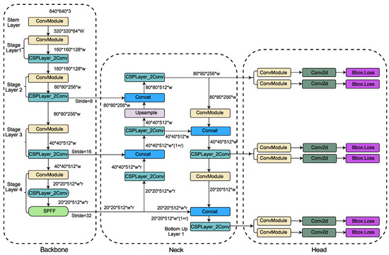 BWFER-YOLOv8: An Enhanced Cascaded Framework for Concealed