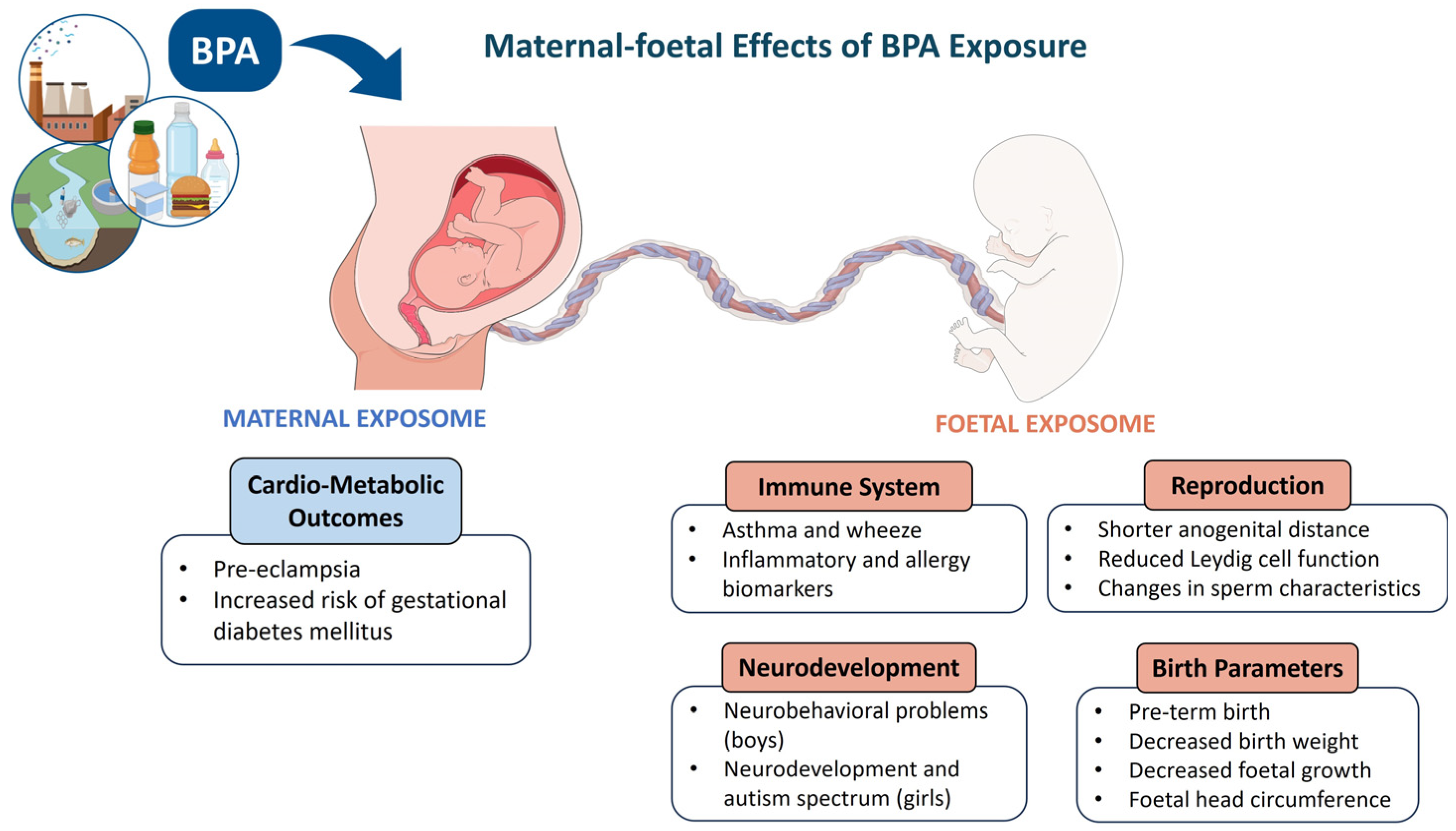 Applsci 15 00697 g003