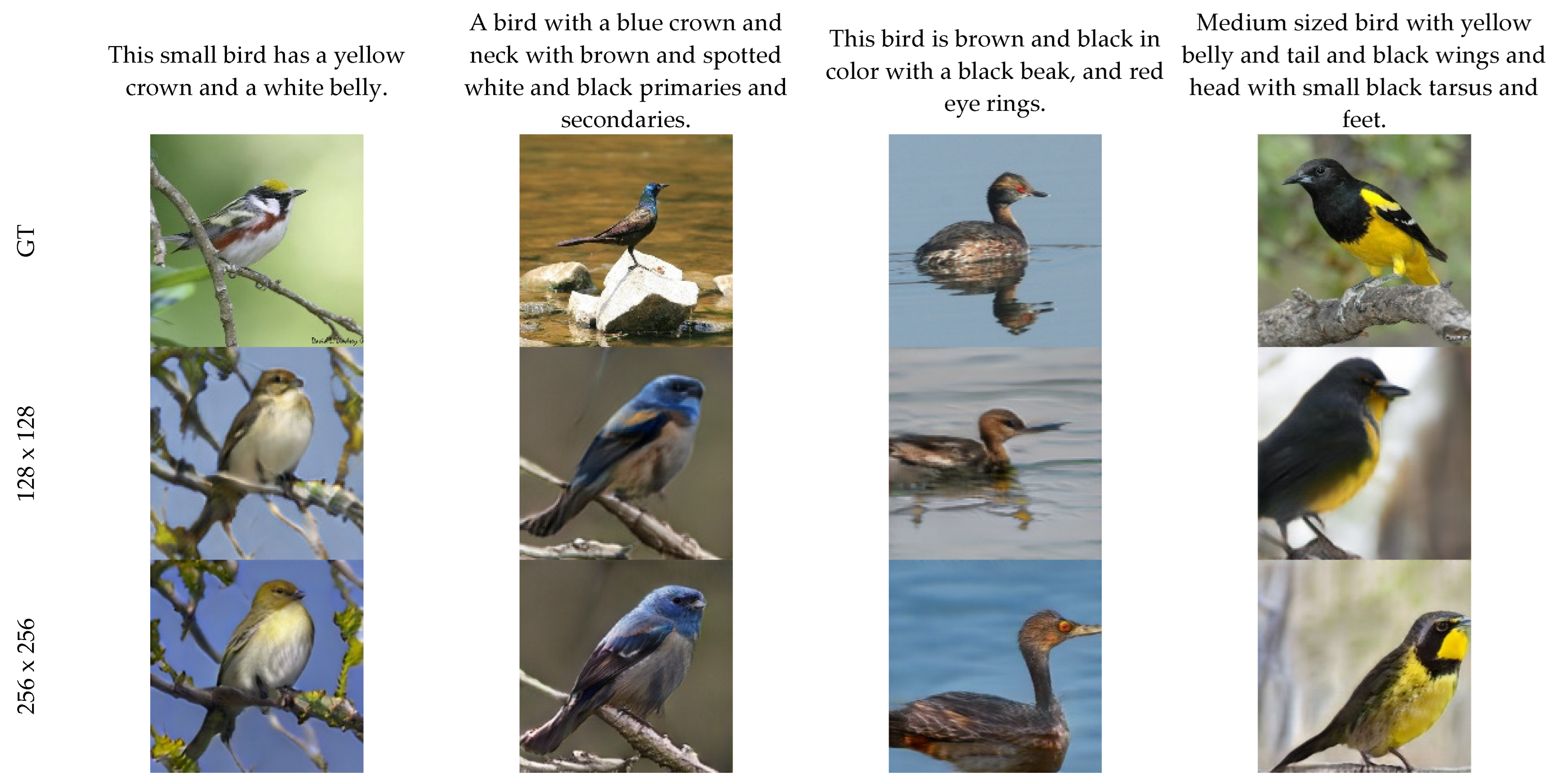 Applsci 15 00706 g005