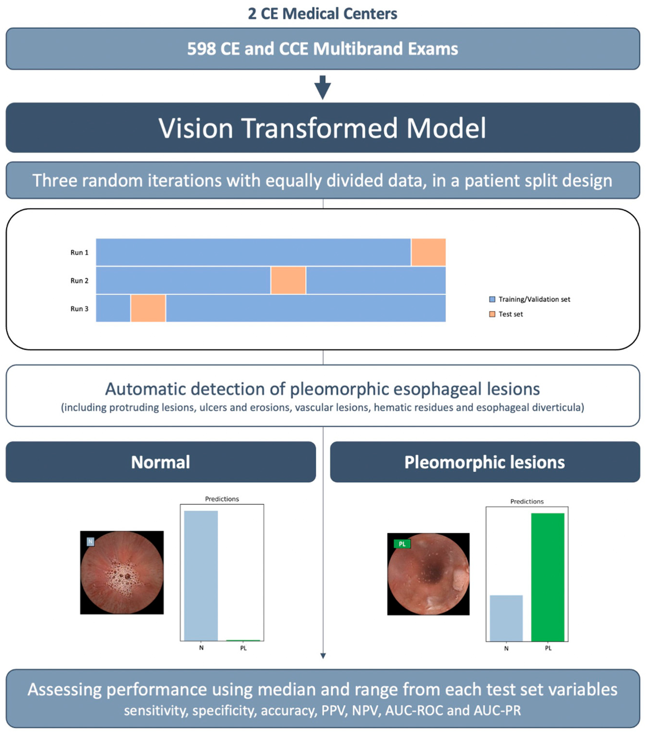 Applsci 15 00709 g001