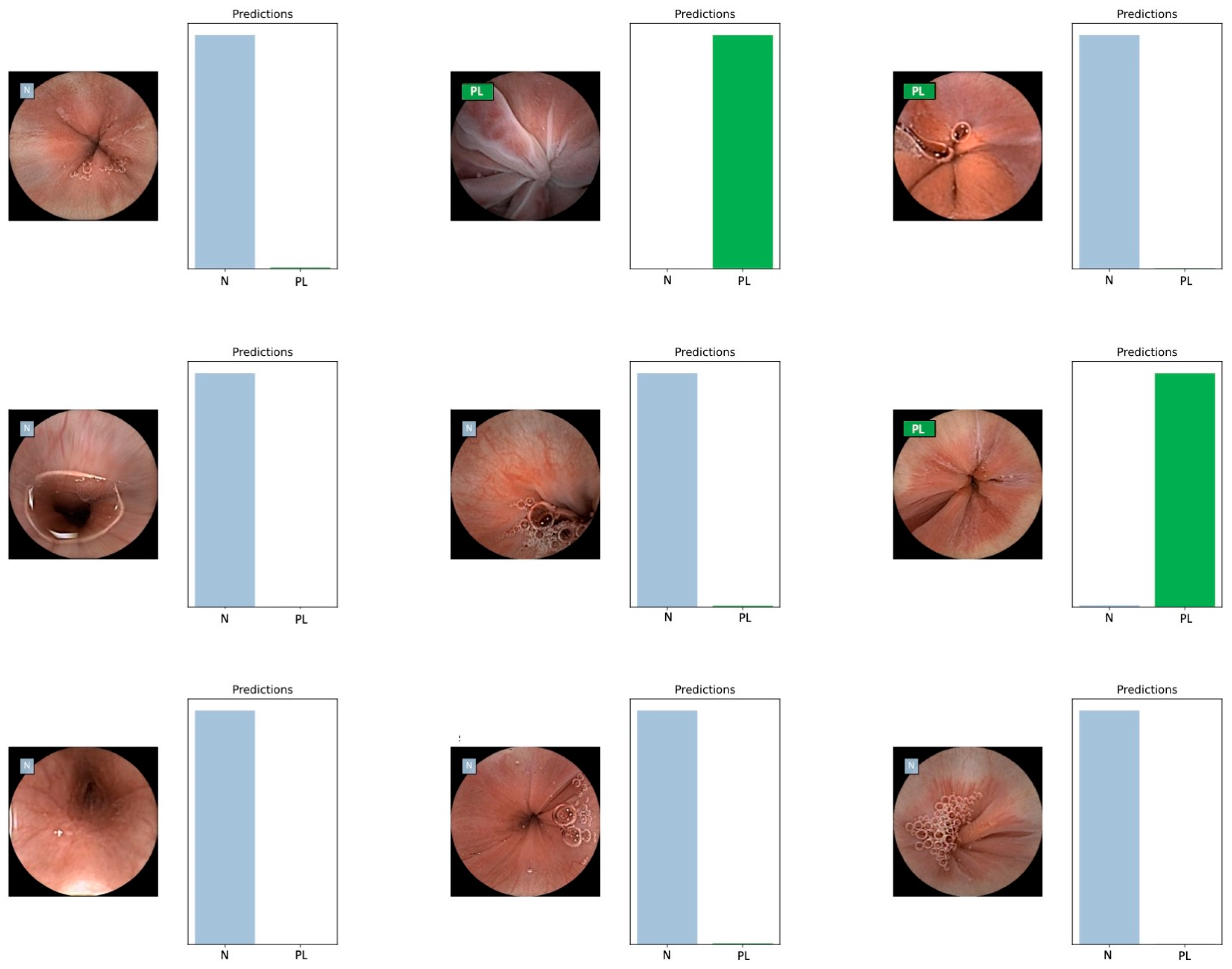 Applsci 15 00709 g002