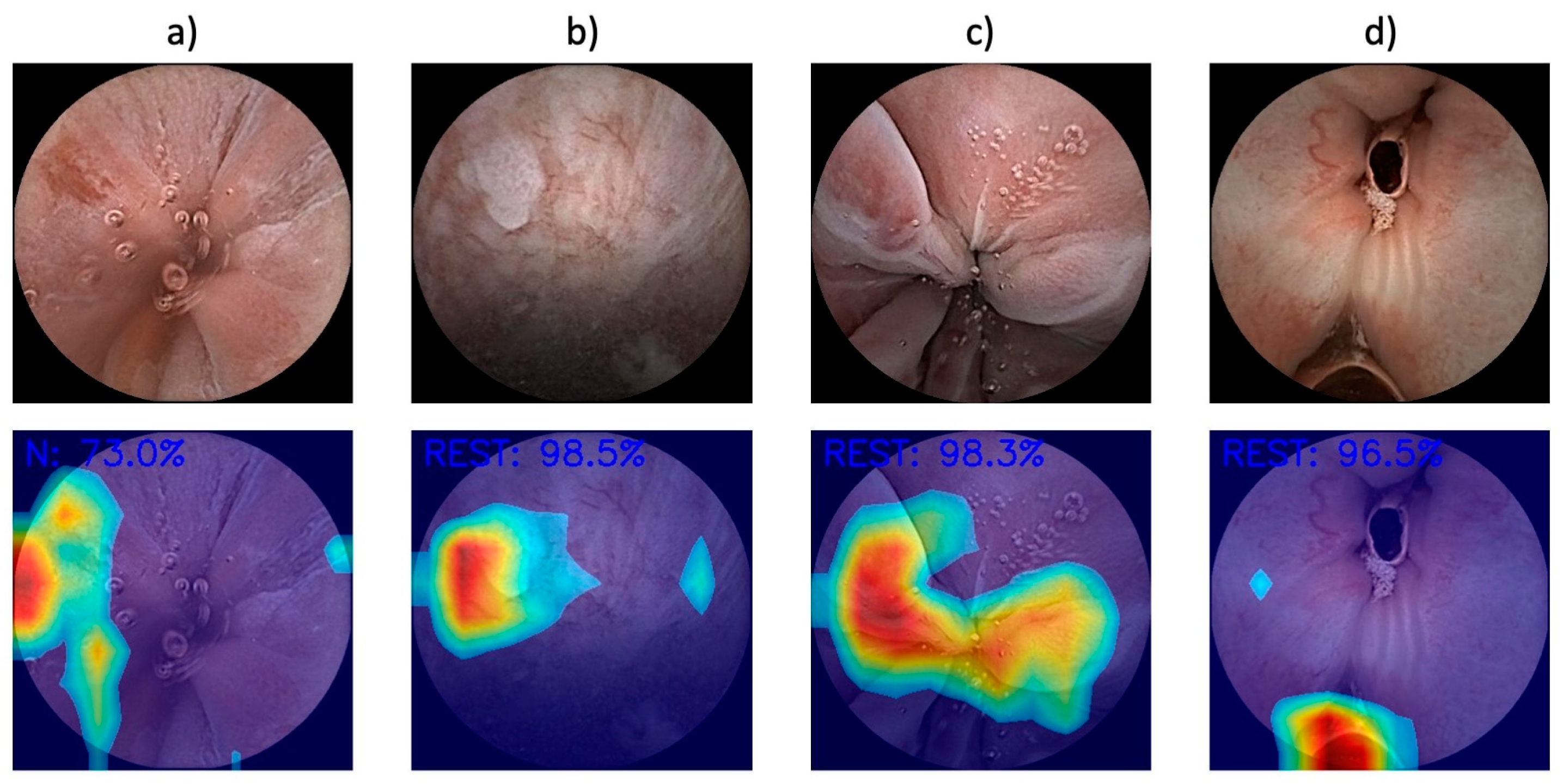 Applsci 15 00709 g003