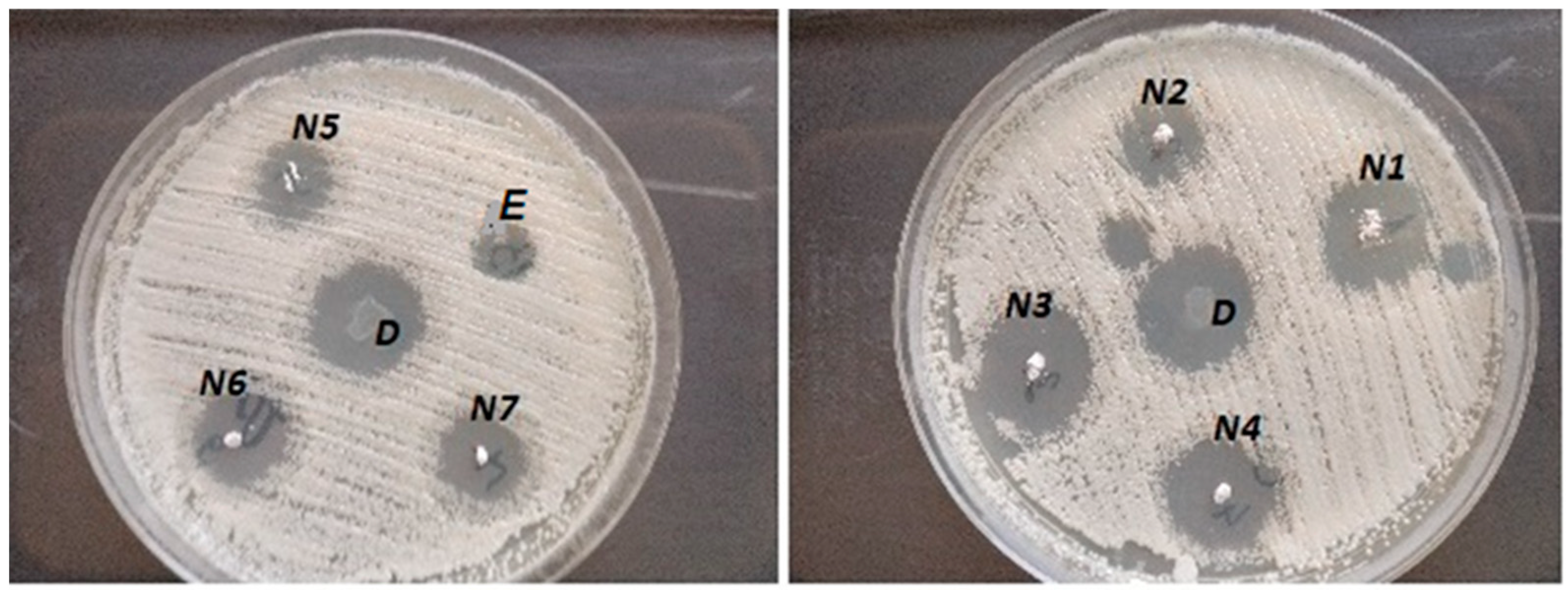 Applsci 15 00710 g005