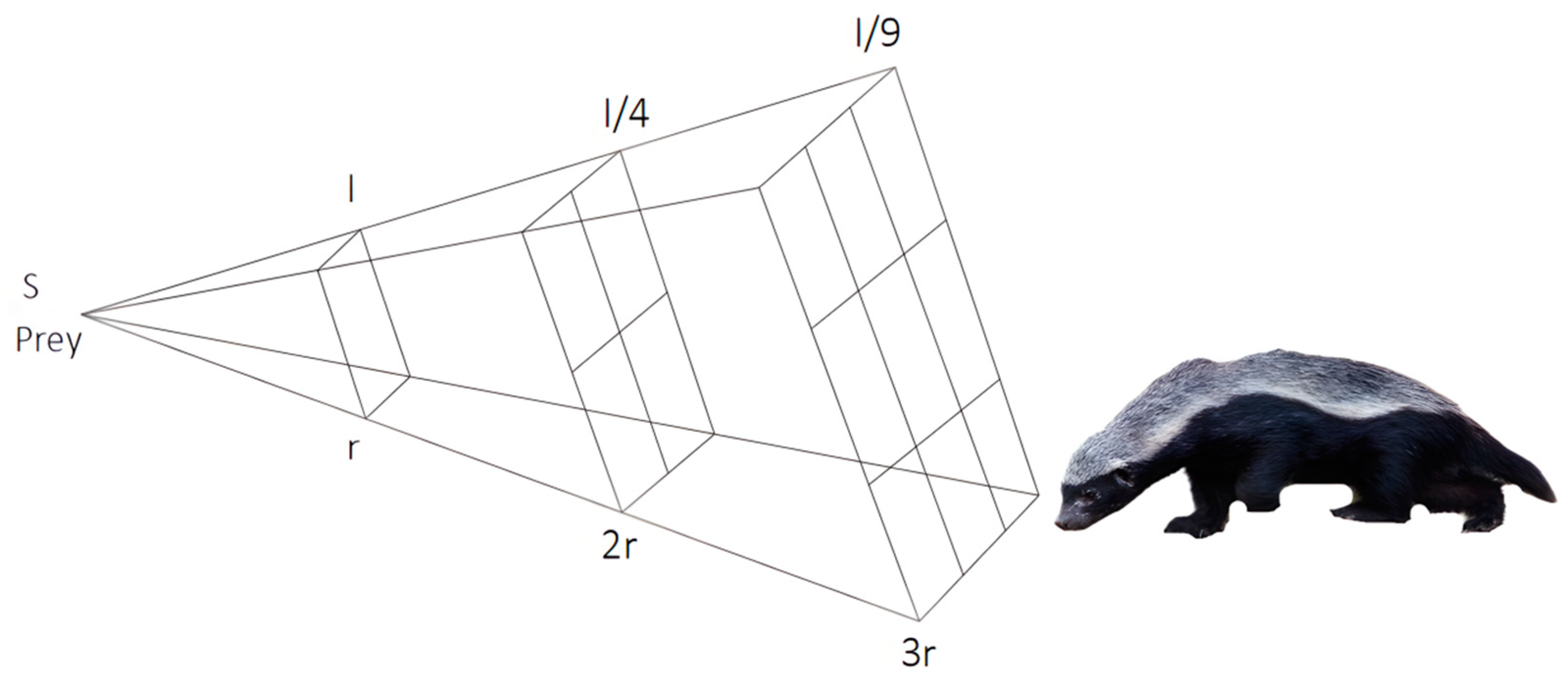 Applsci 15 00718 g001