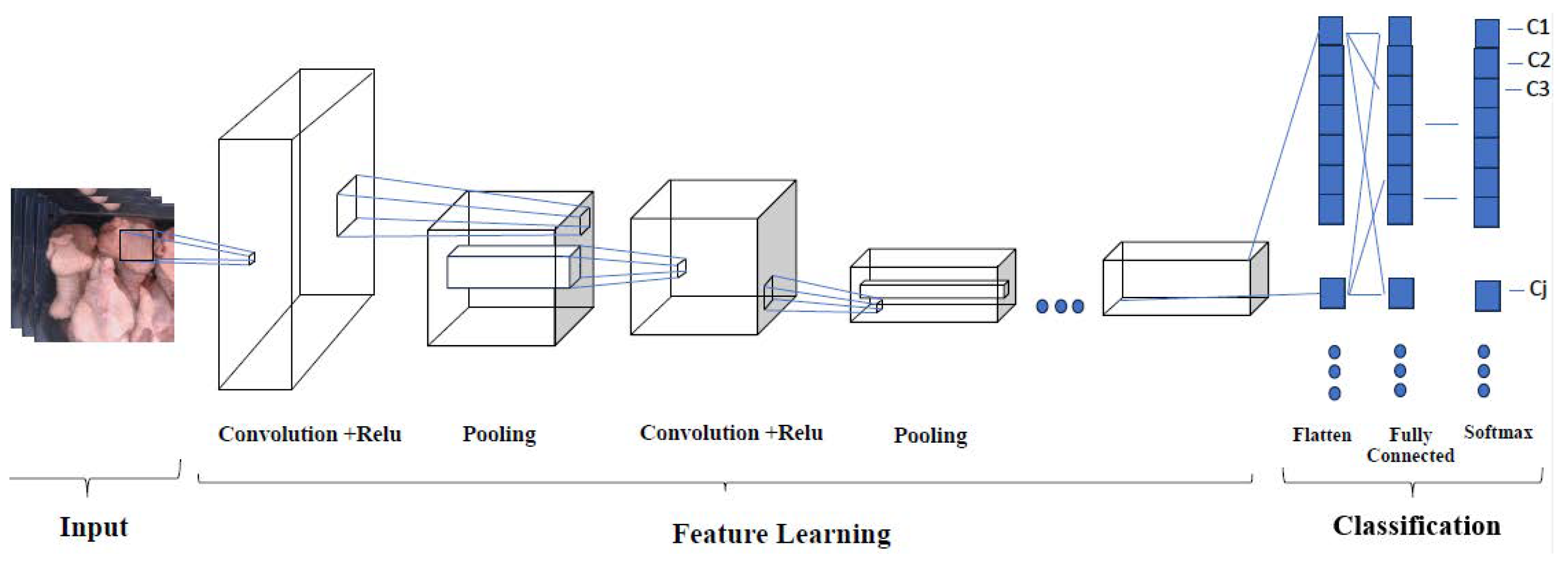 Applsci 15 00733 g001