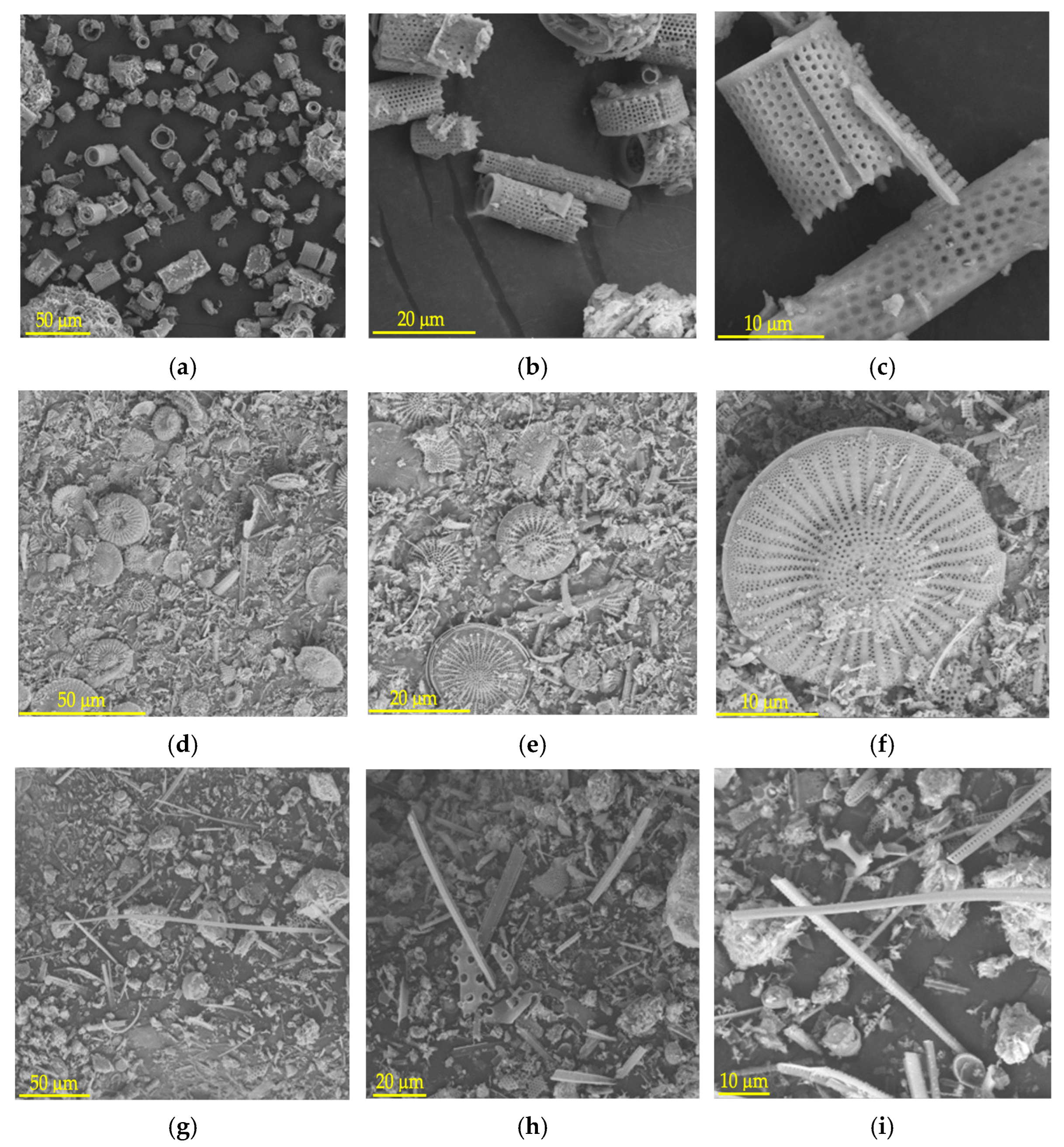 Applsci 15 00749 g001