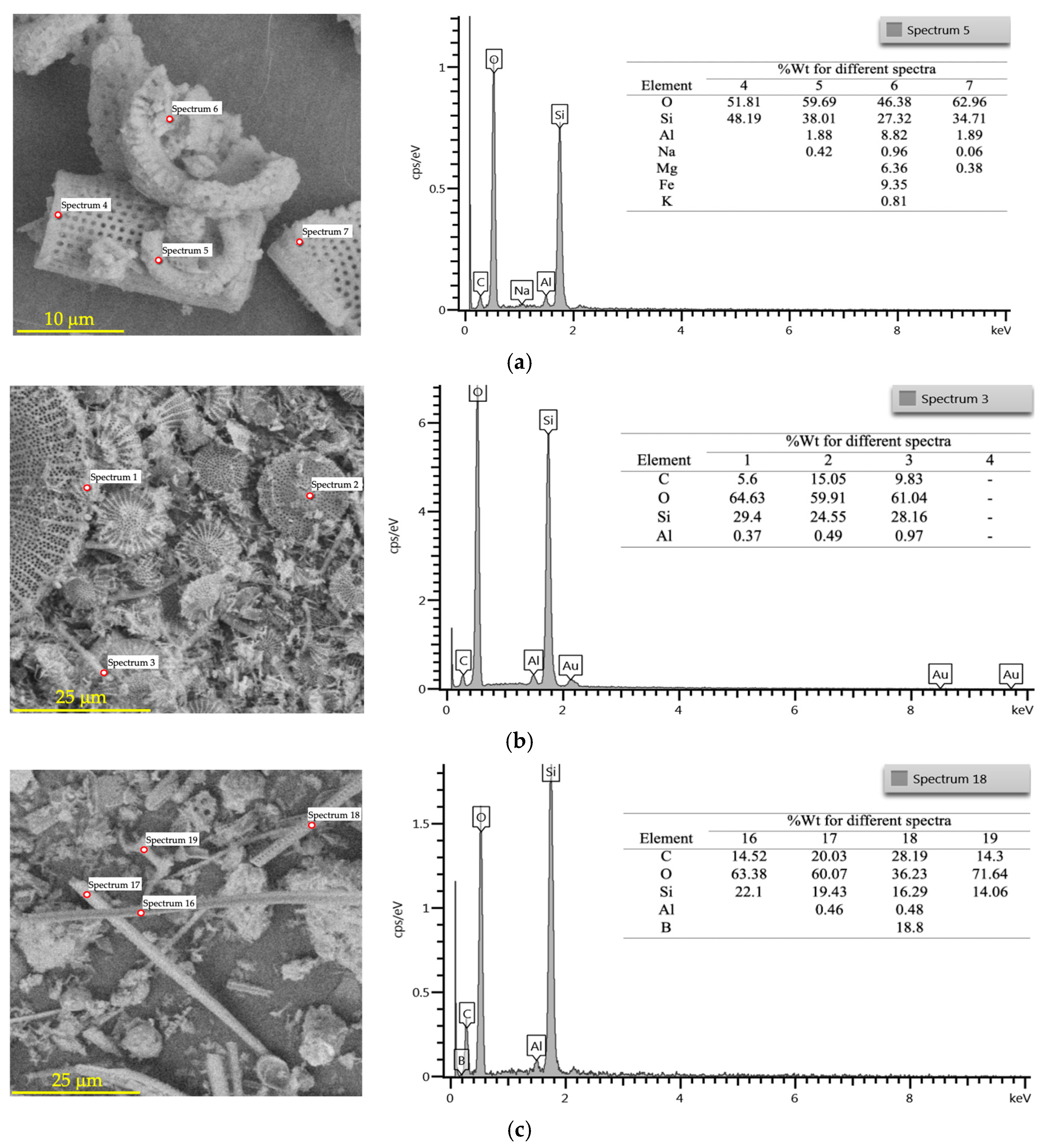 Applsci 15 00749 g002