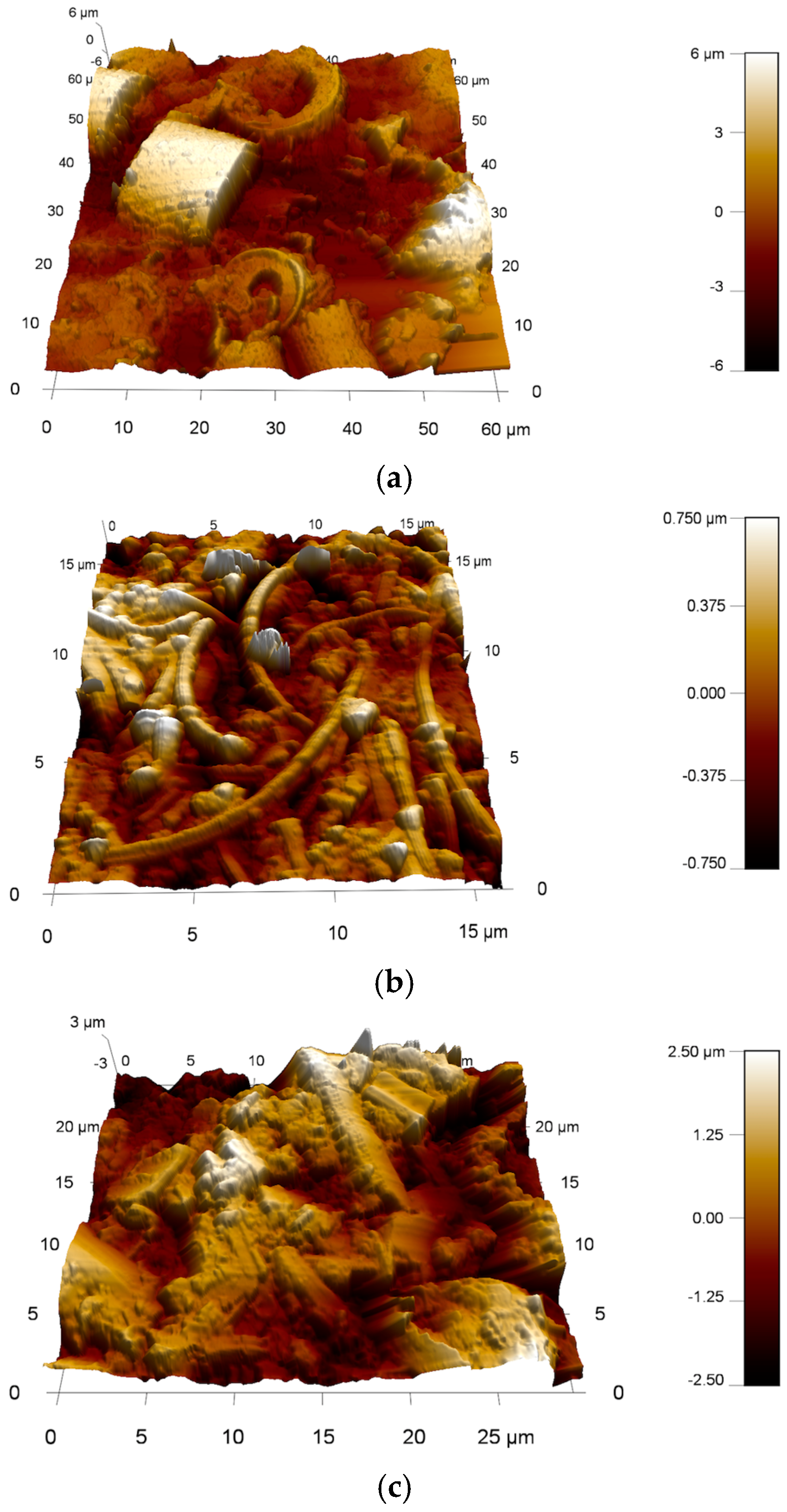 Applsci 15 00749 g004