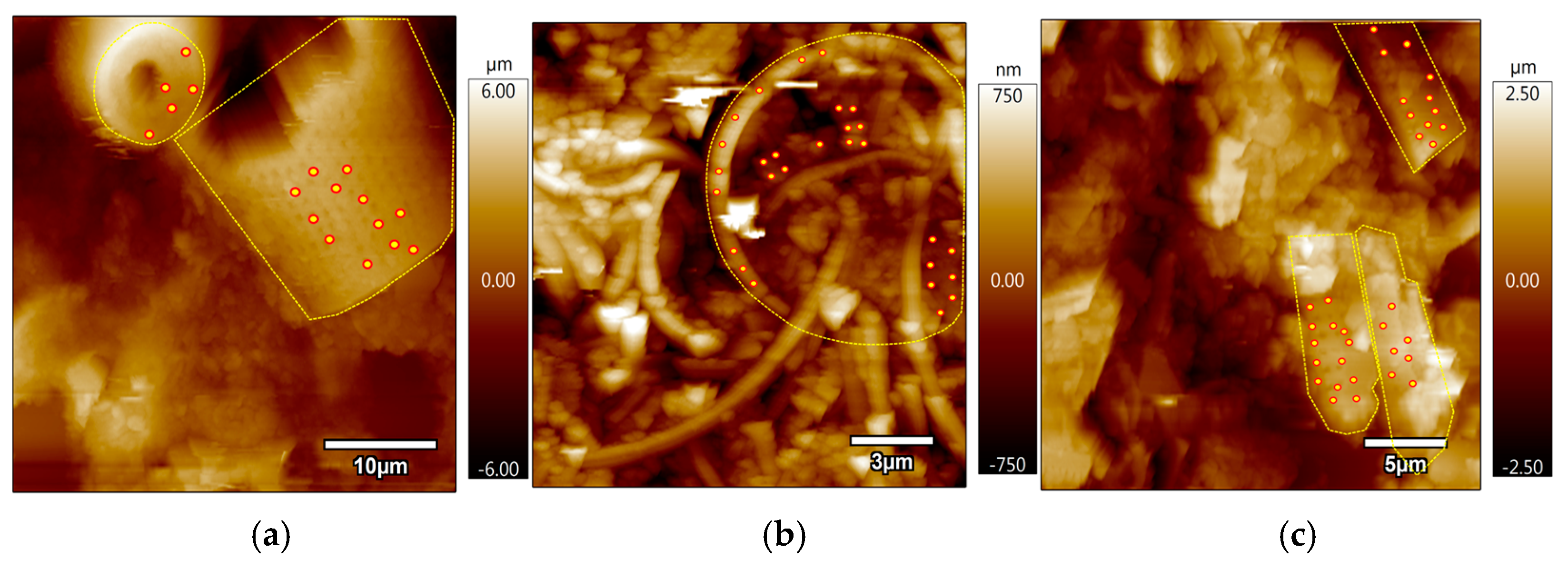 Applsci 15 00749 g005