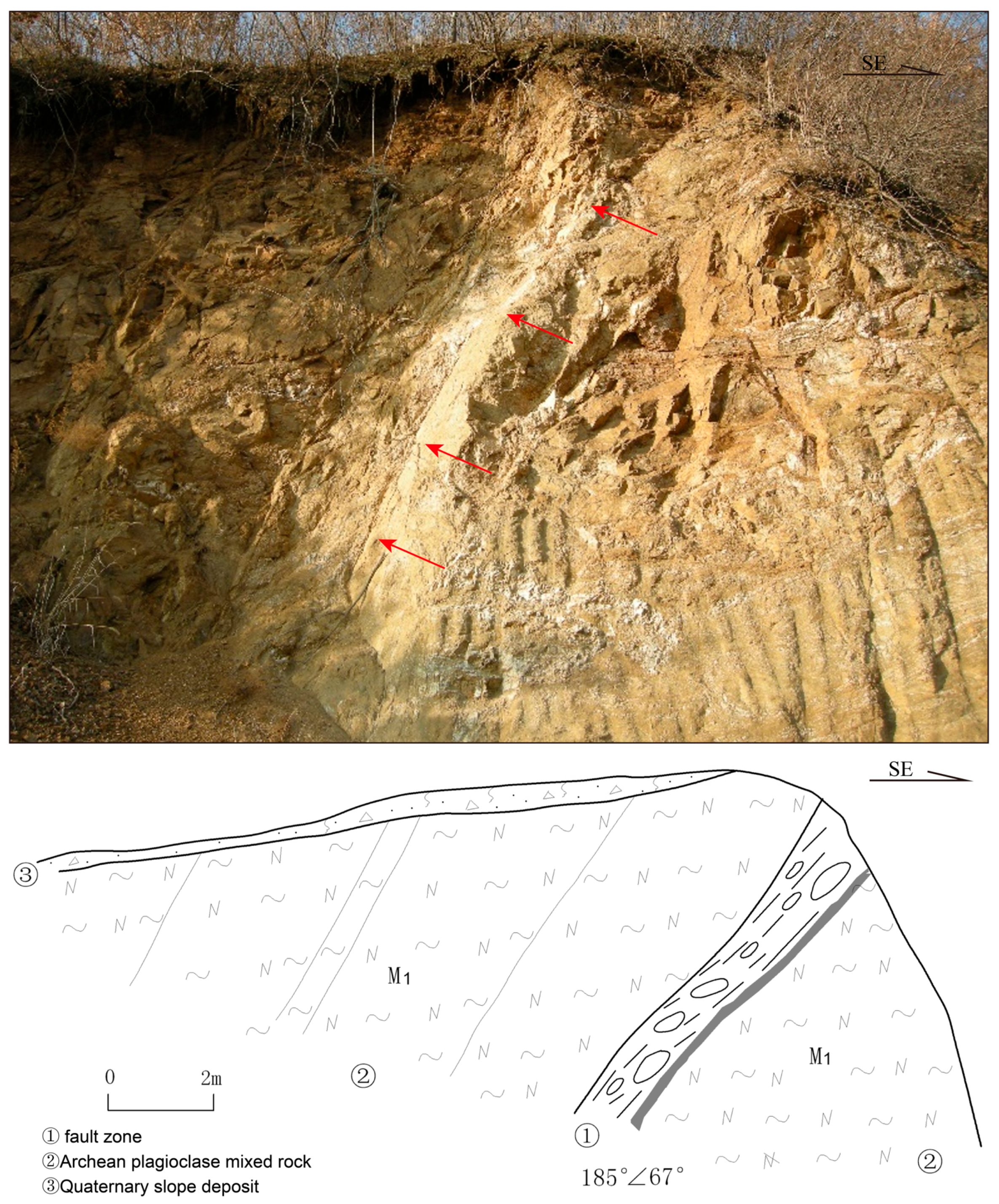 Applsci 15 00763 g008