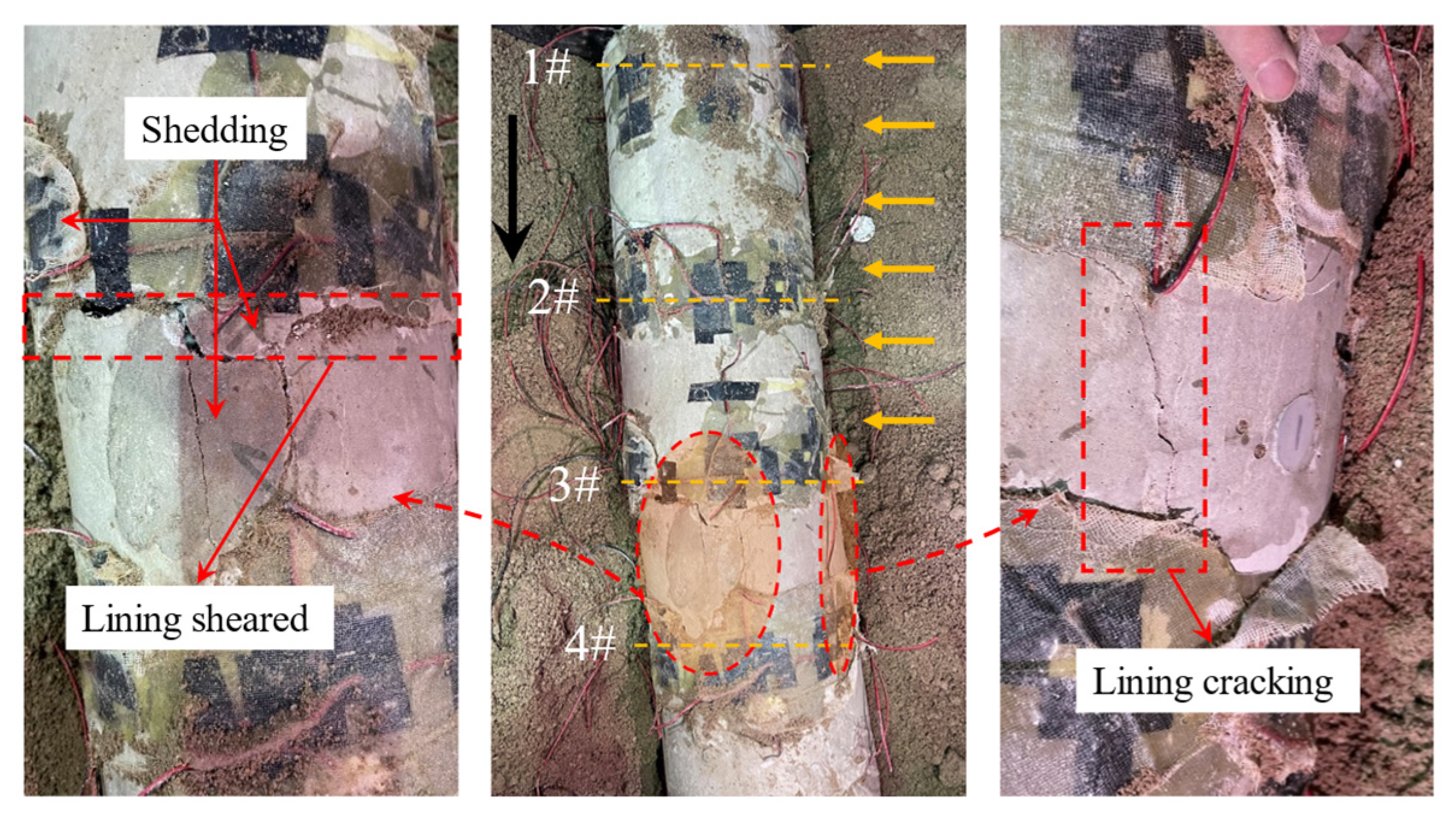 Applsci 15 00765 g012