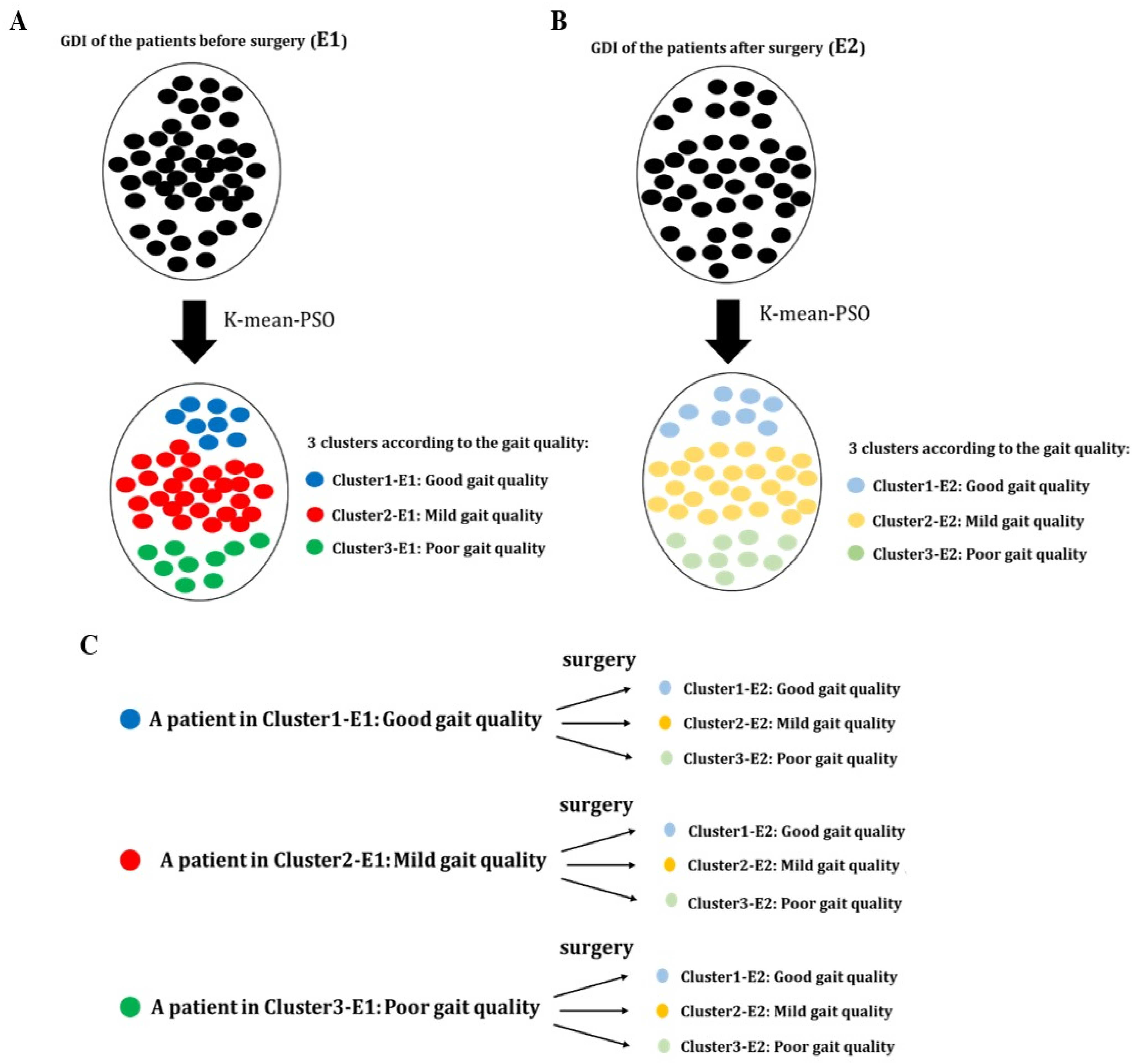 Applsci 15 00766 g001