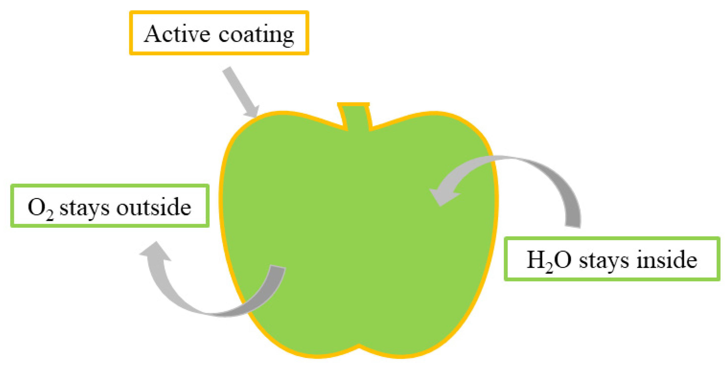 Applsci 15 00767 g003