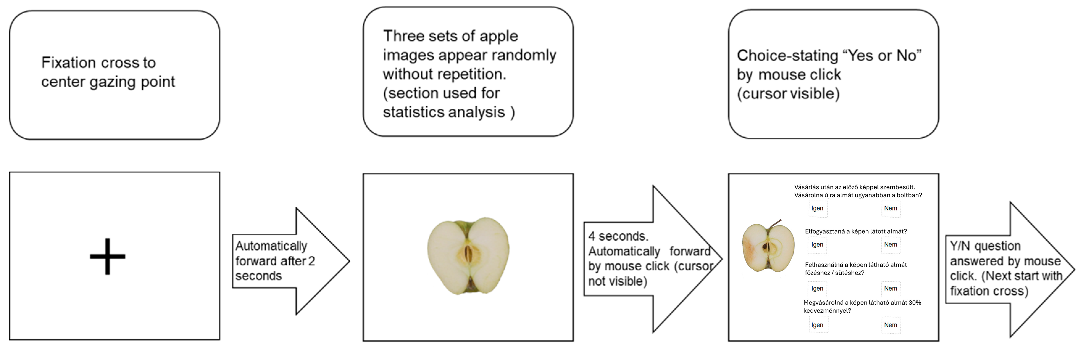 Applsci 15 00773 g003