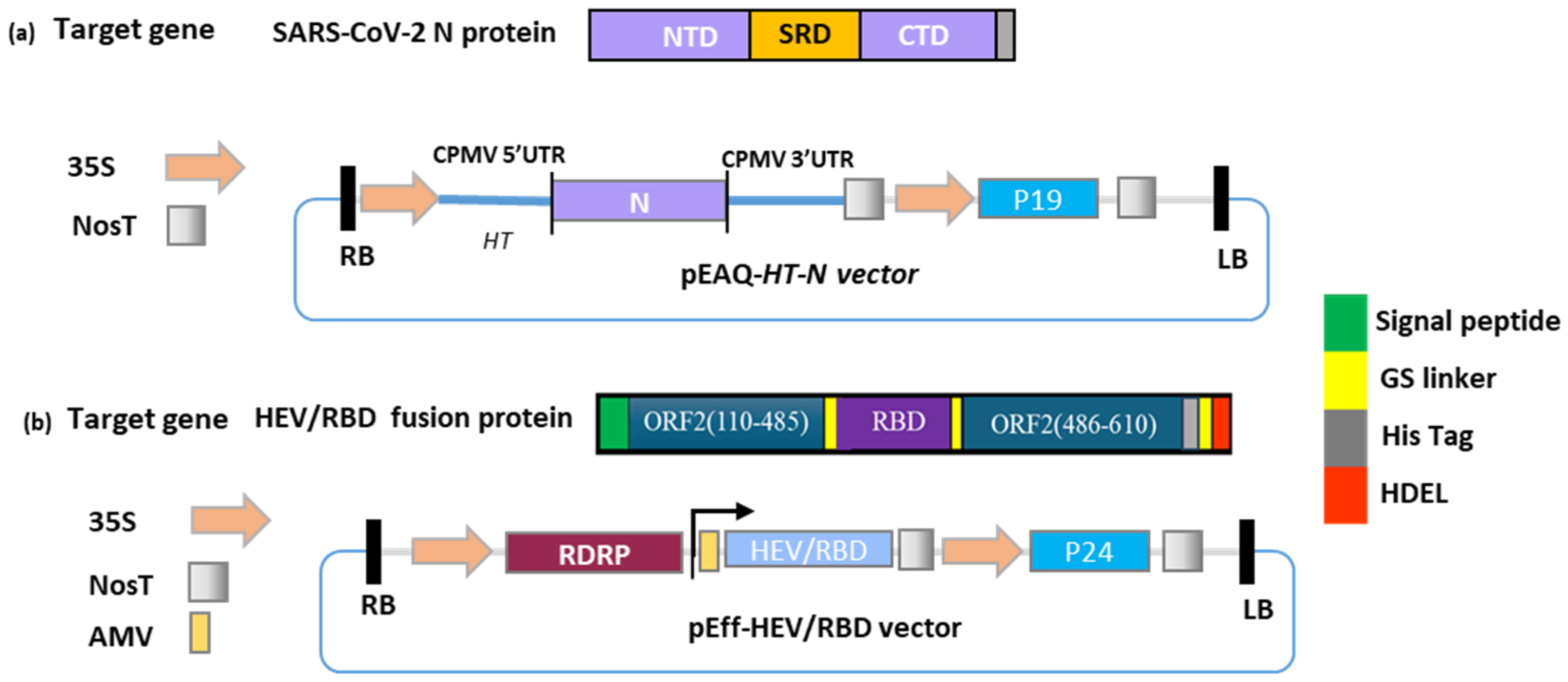 Applsci 15 00786 g001 Applsci 15 00786 g001
