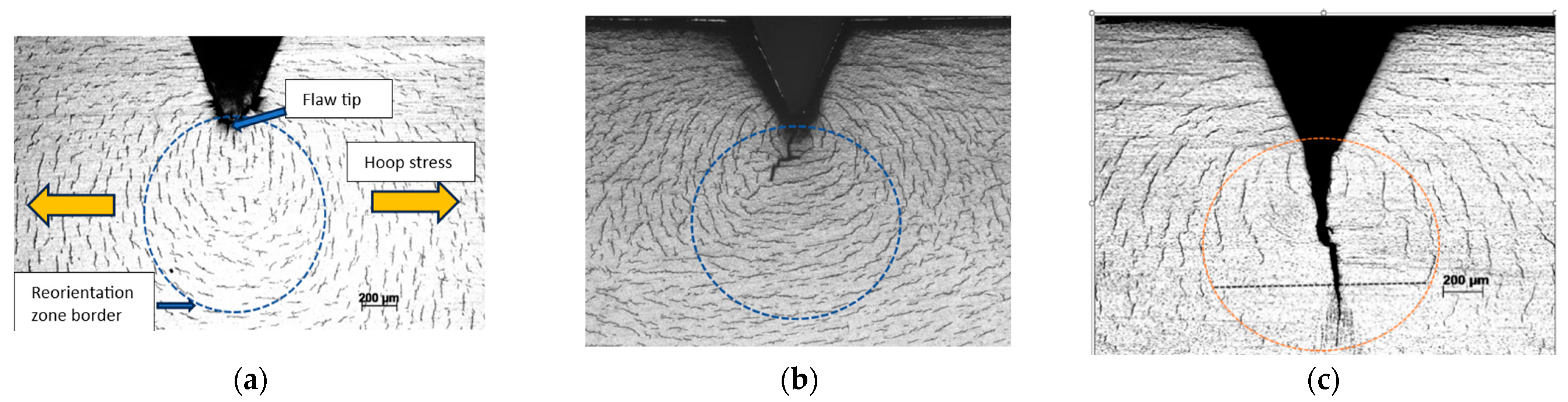 Applsci 15 00787 g005