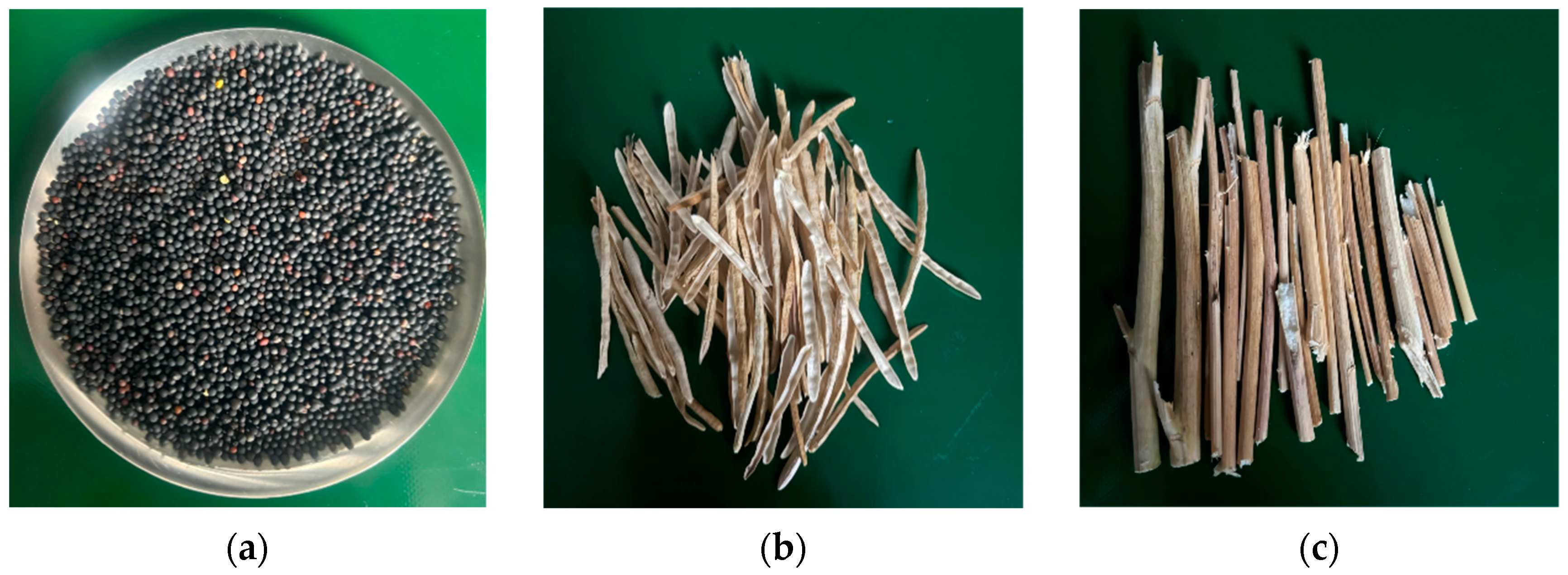 Applsci 15 00792 g002