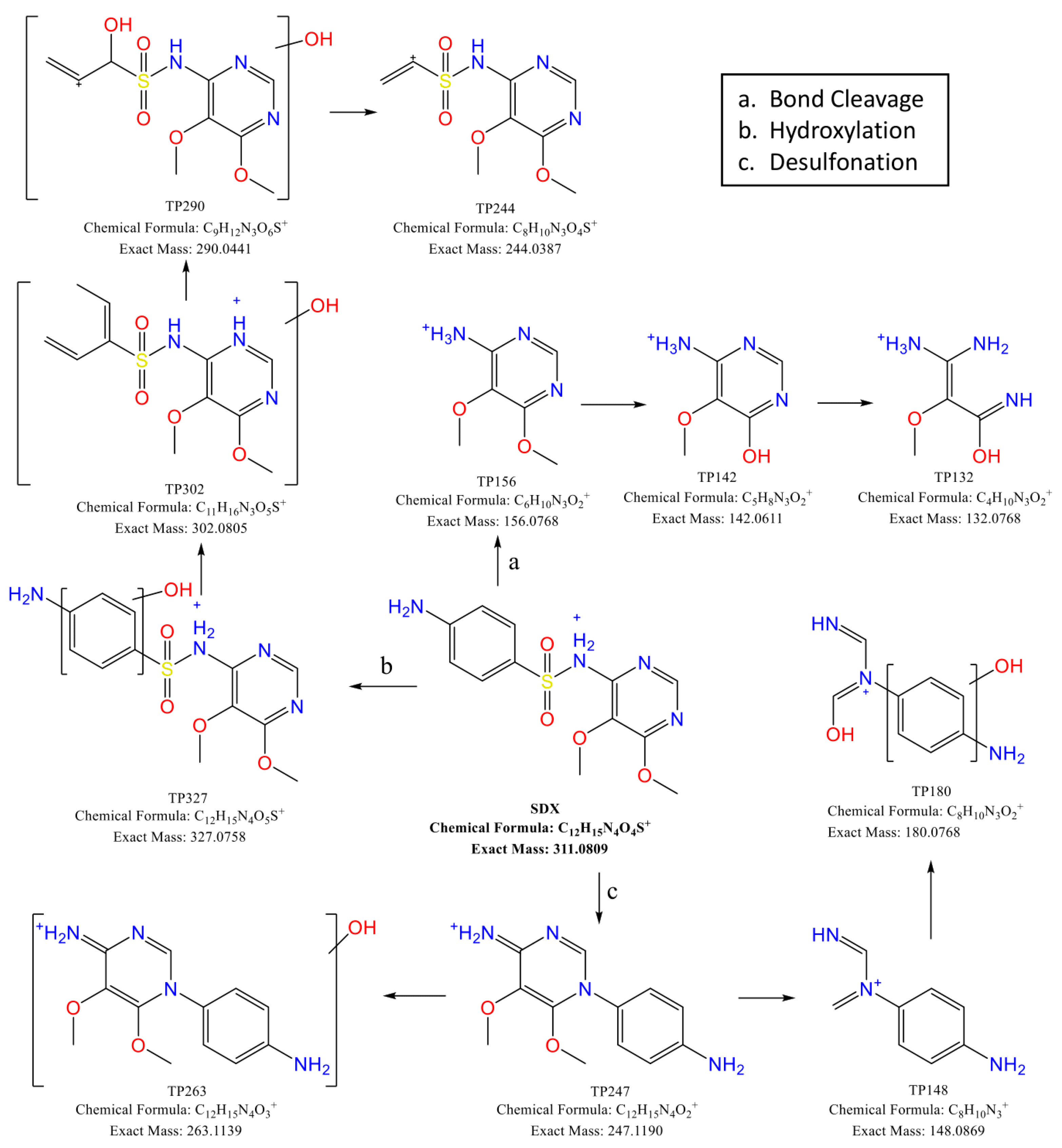Applsci 15 00793 g005