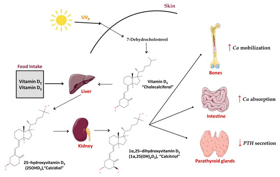 vitamin d3 benefits with glutathione and vitamin b complex A Comprehensive Review on the Beneficial Roles of D in Skin Health as a Bio-Functional Ingredient in Nutricosmetic, Cosmeceutical, Cosmetic Applications Glutathione Stimulates Vitamin D Regulatory