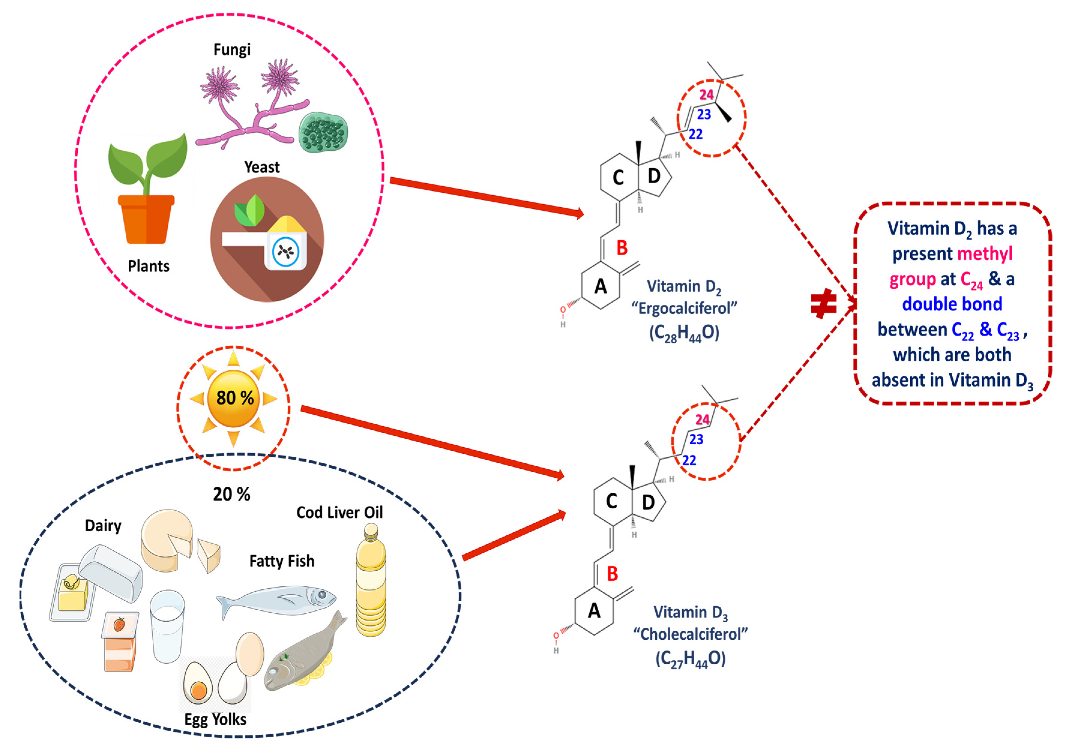 Applsci 15 00796 g004 Applsci 15 00796 g004