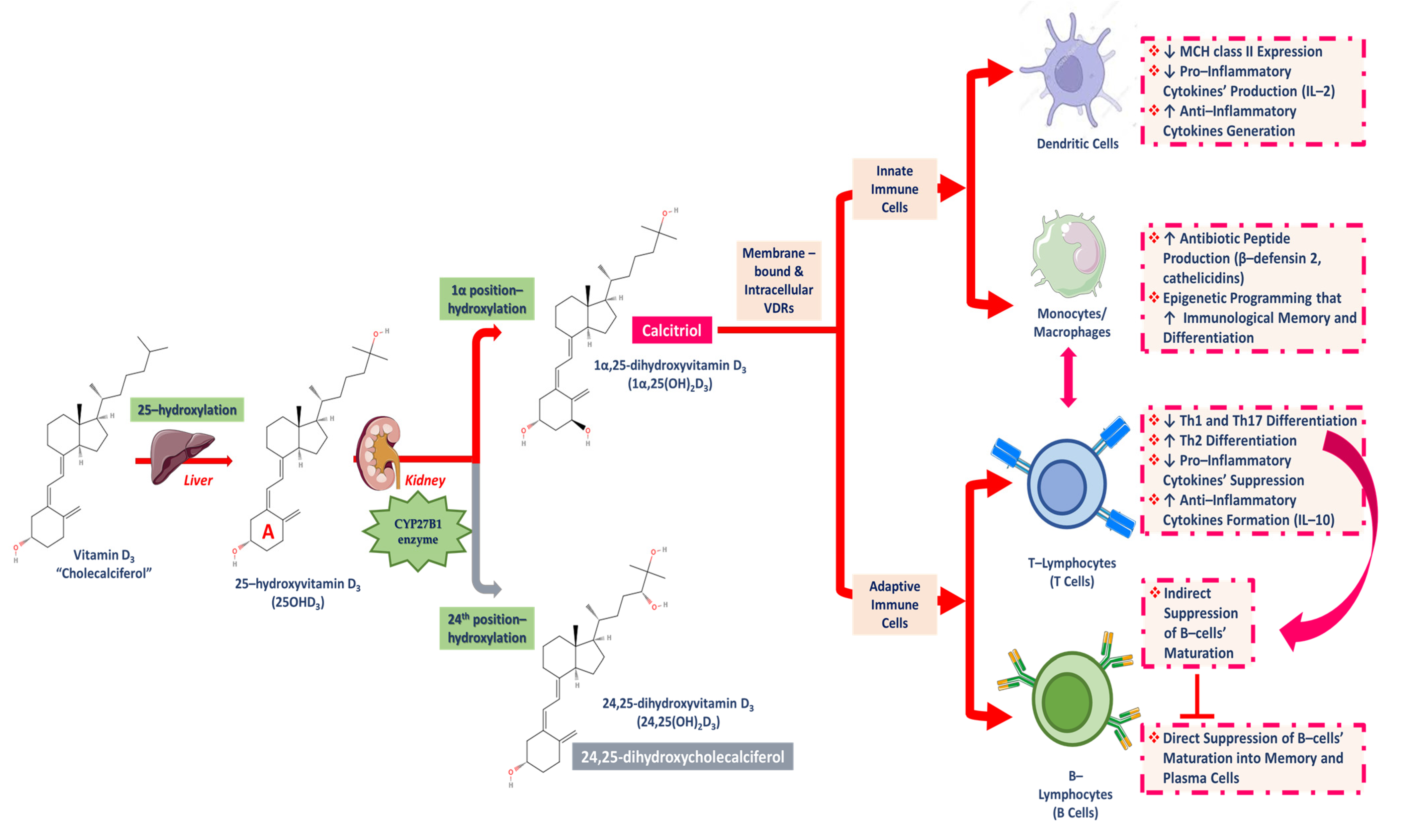 Applsci 15 00796 g006 Applsci 15 00796 g006
