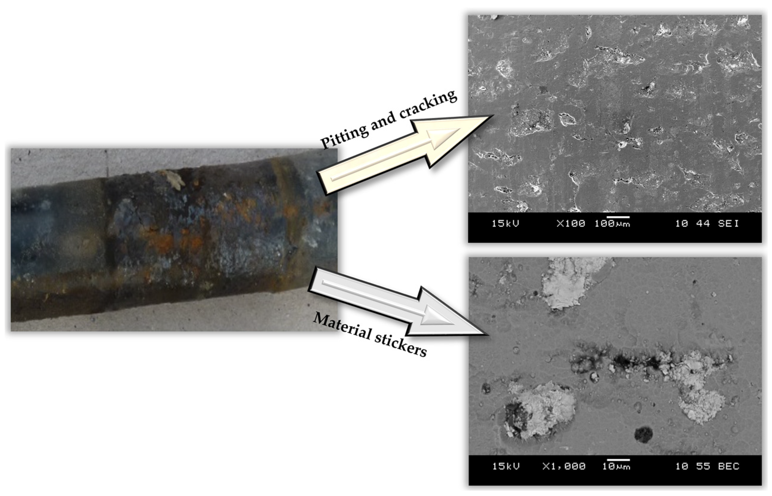 Applsci 15 00805 g004