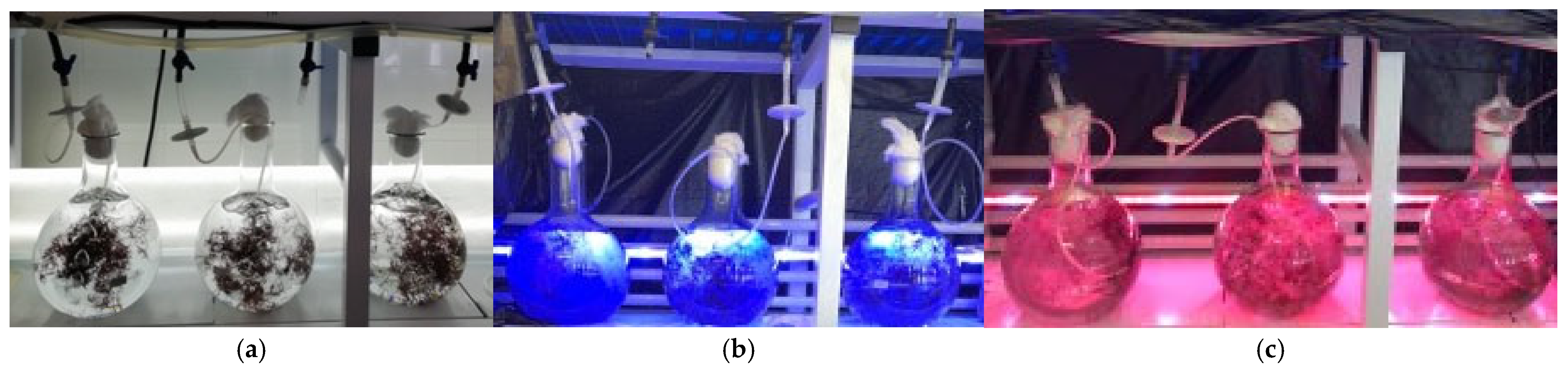 Applsci 15 00810 g002