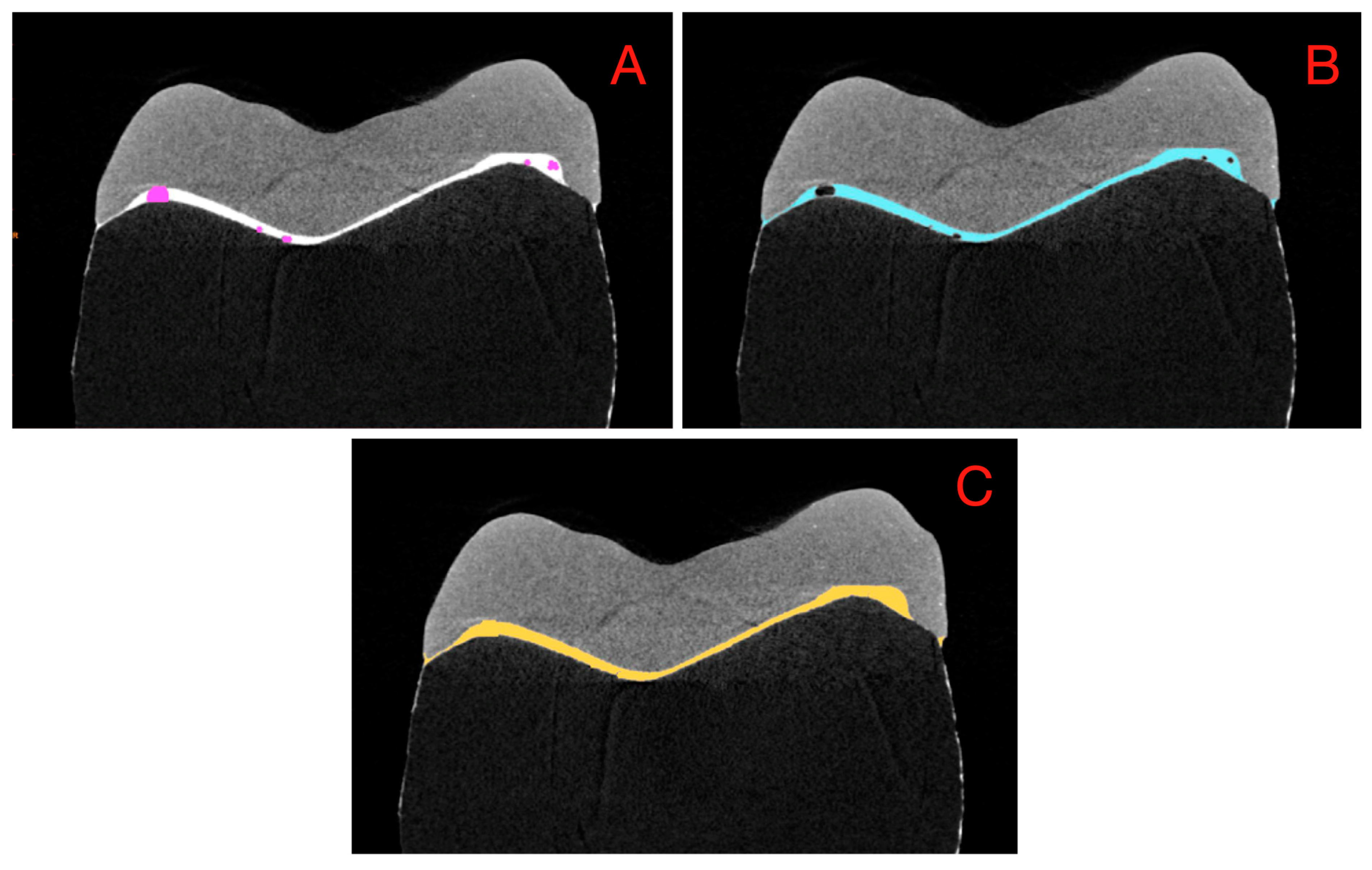 Applsci 15 00828 g001