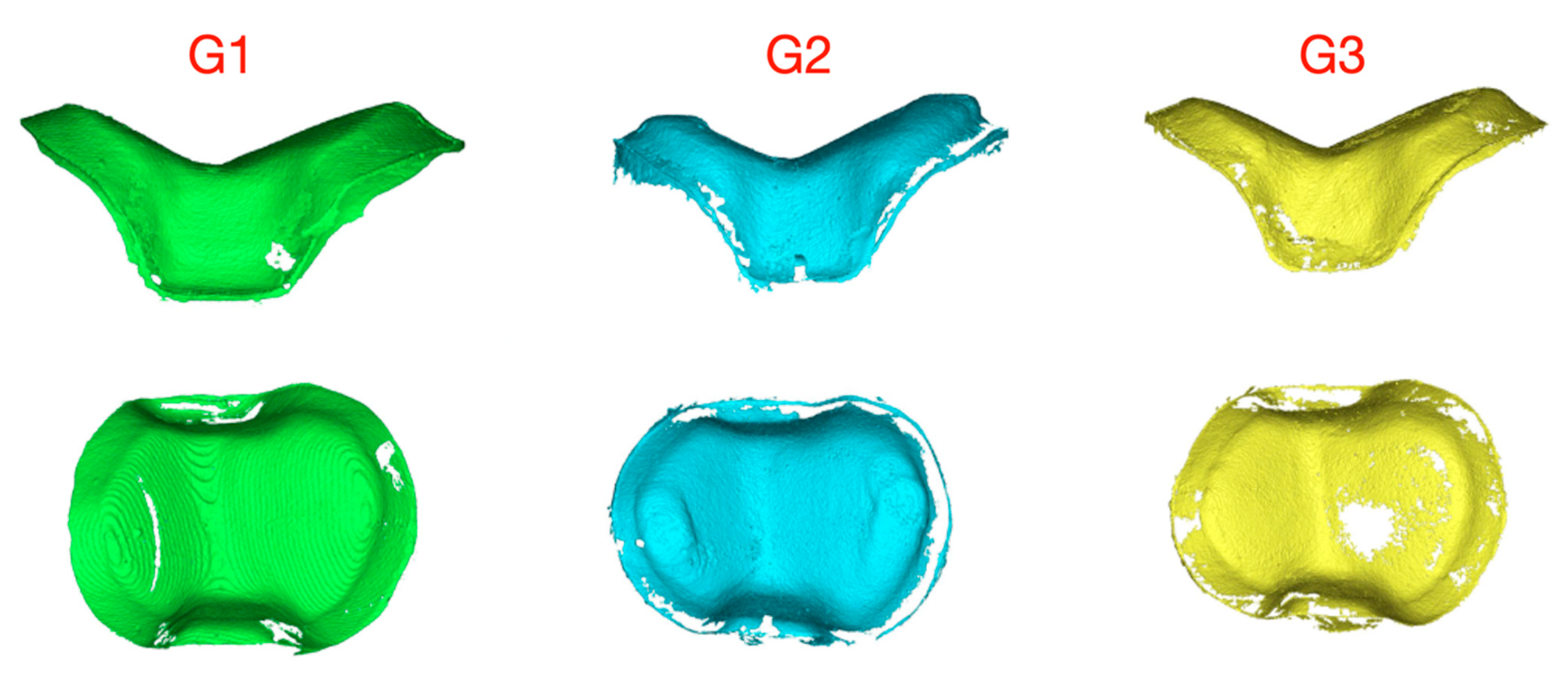 Applsci 15 00828 g003