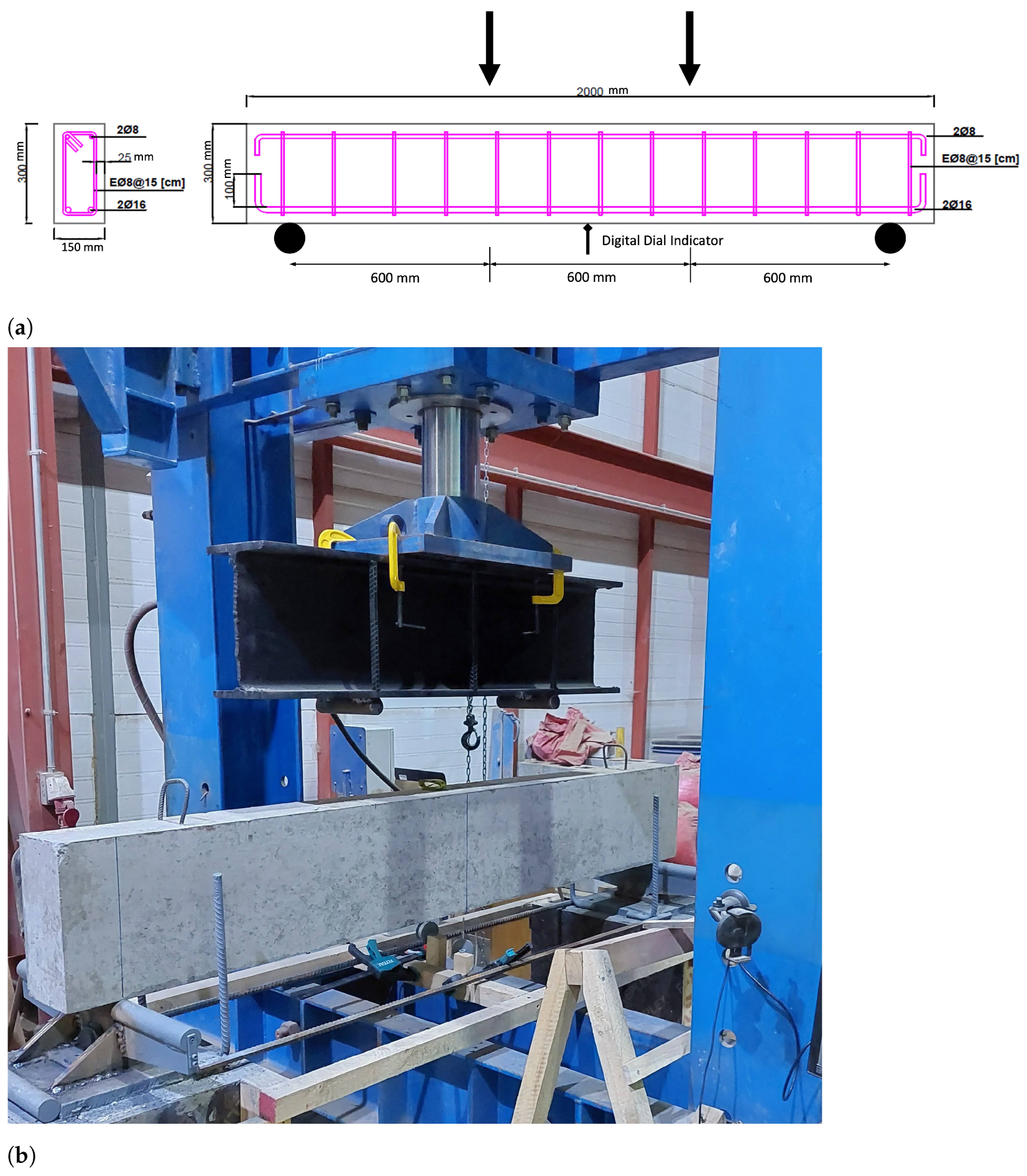 Applsci 15 00829 g003