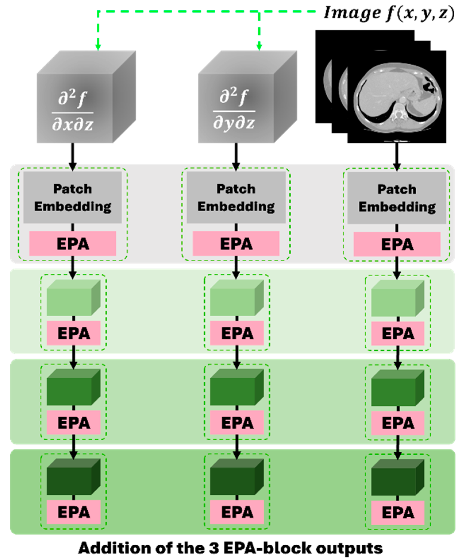 Applsci 15 00837 g002 Applsci 15 00837 g002