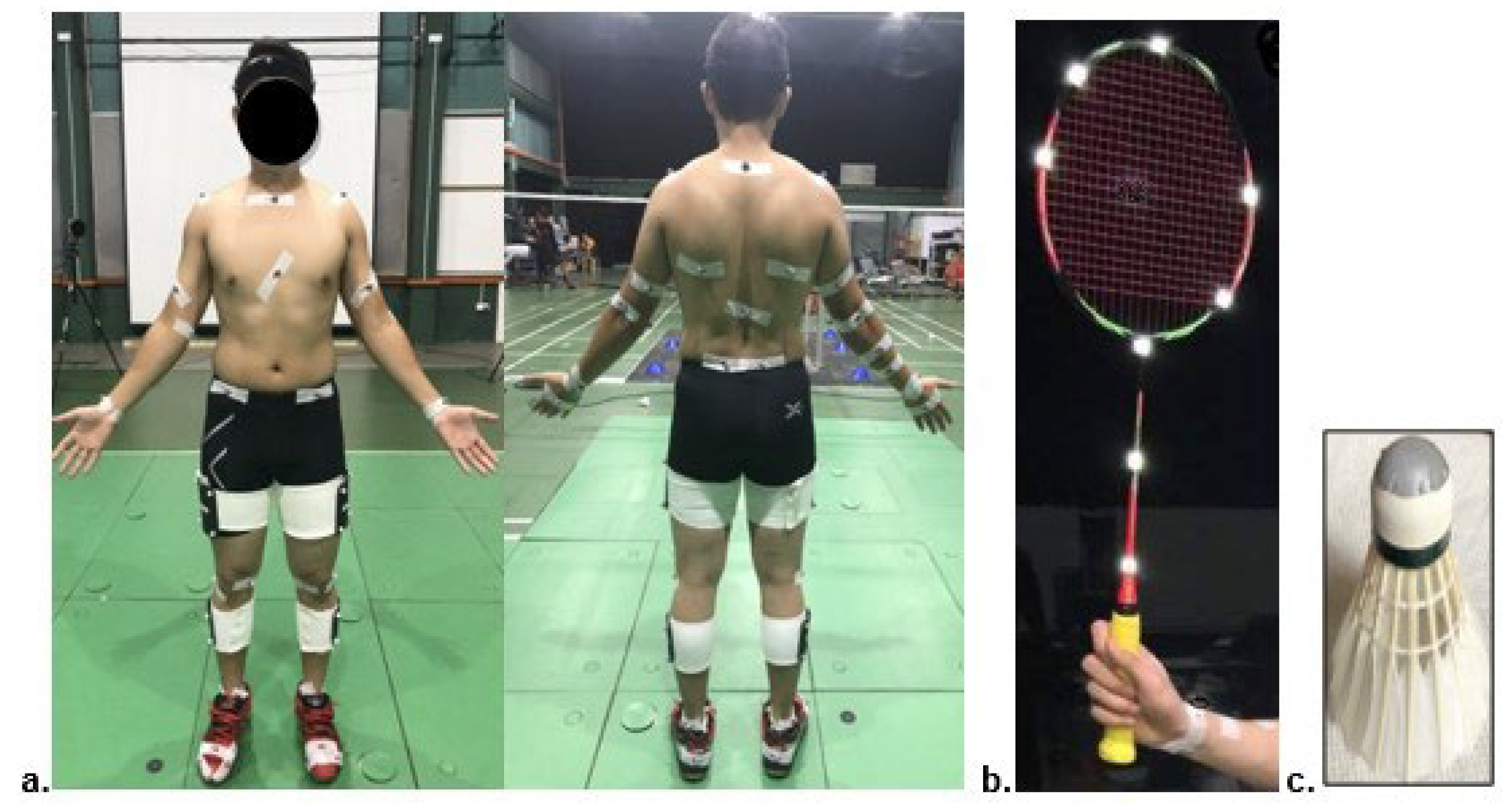 Applsci 15 00844 g002 Applsci 15 00844 g002