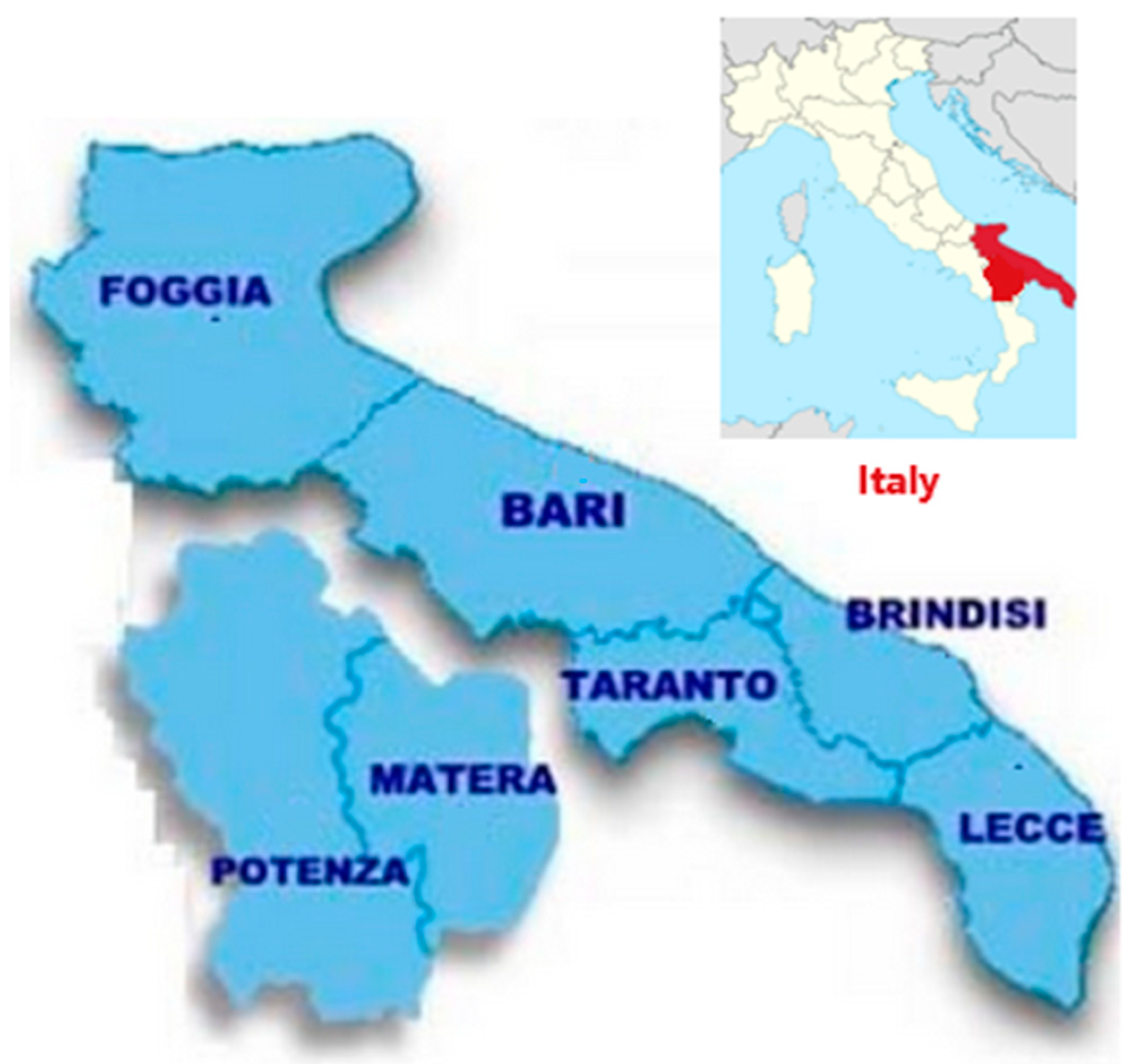 Applsci 15 00853 g001