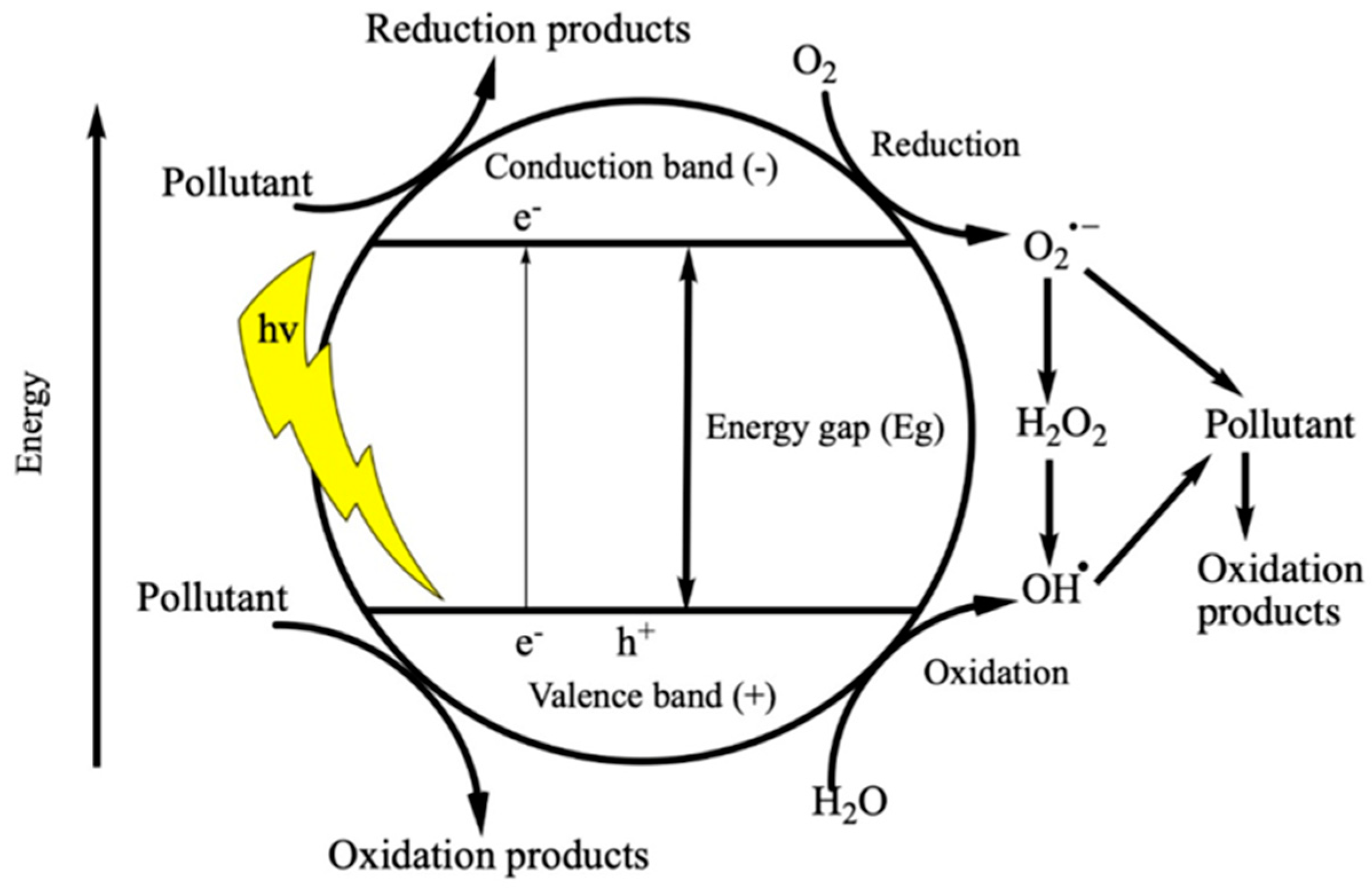 Applsci 15 00857 g011