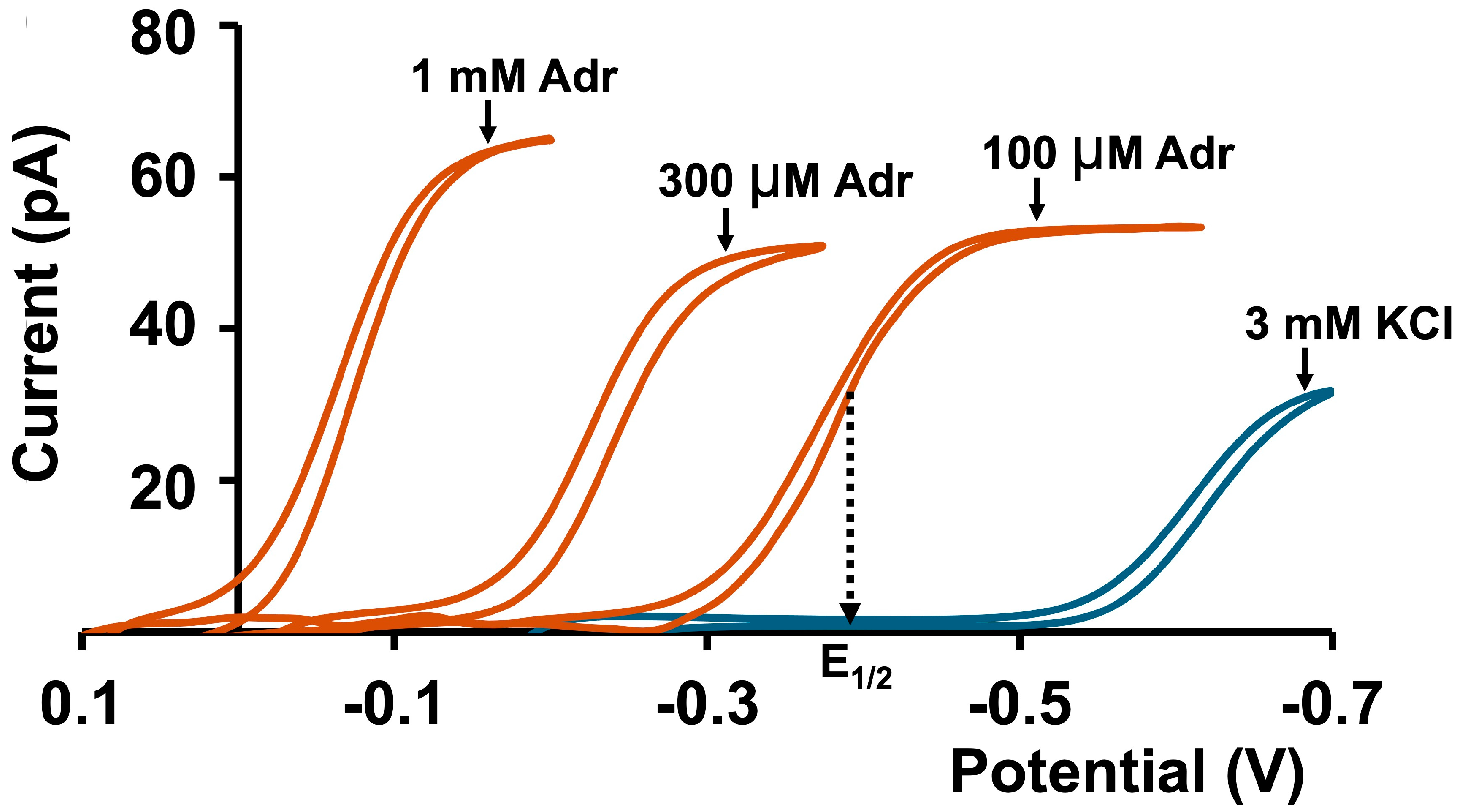 Applsci 15 00869 g001