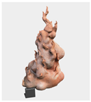 Applsci 15 00870 i005