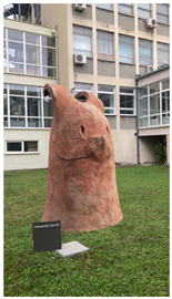 Applsci 15 00870 i011