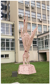 Applsci 15 00870 i012