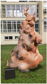 Applsci 15 00870 i020