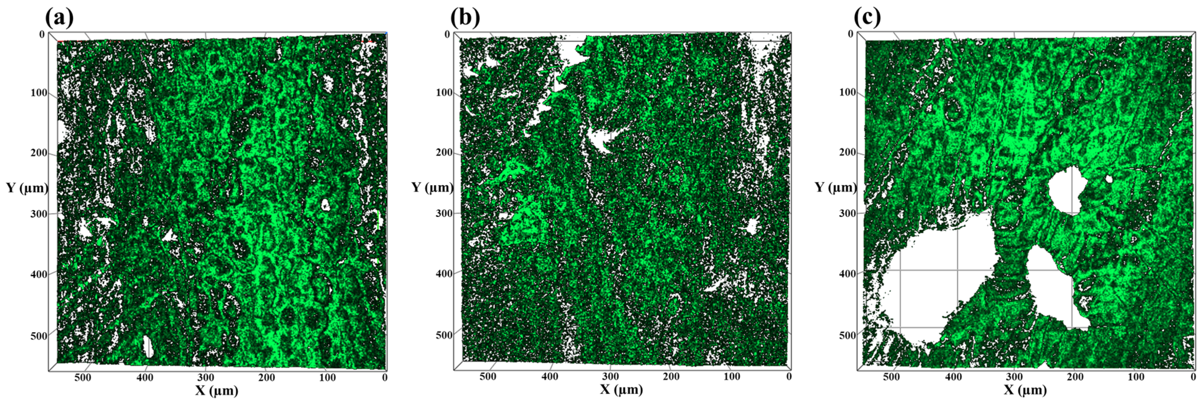 Applsci 15 00874 g006