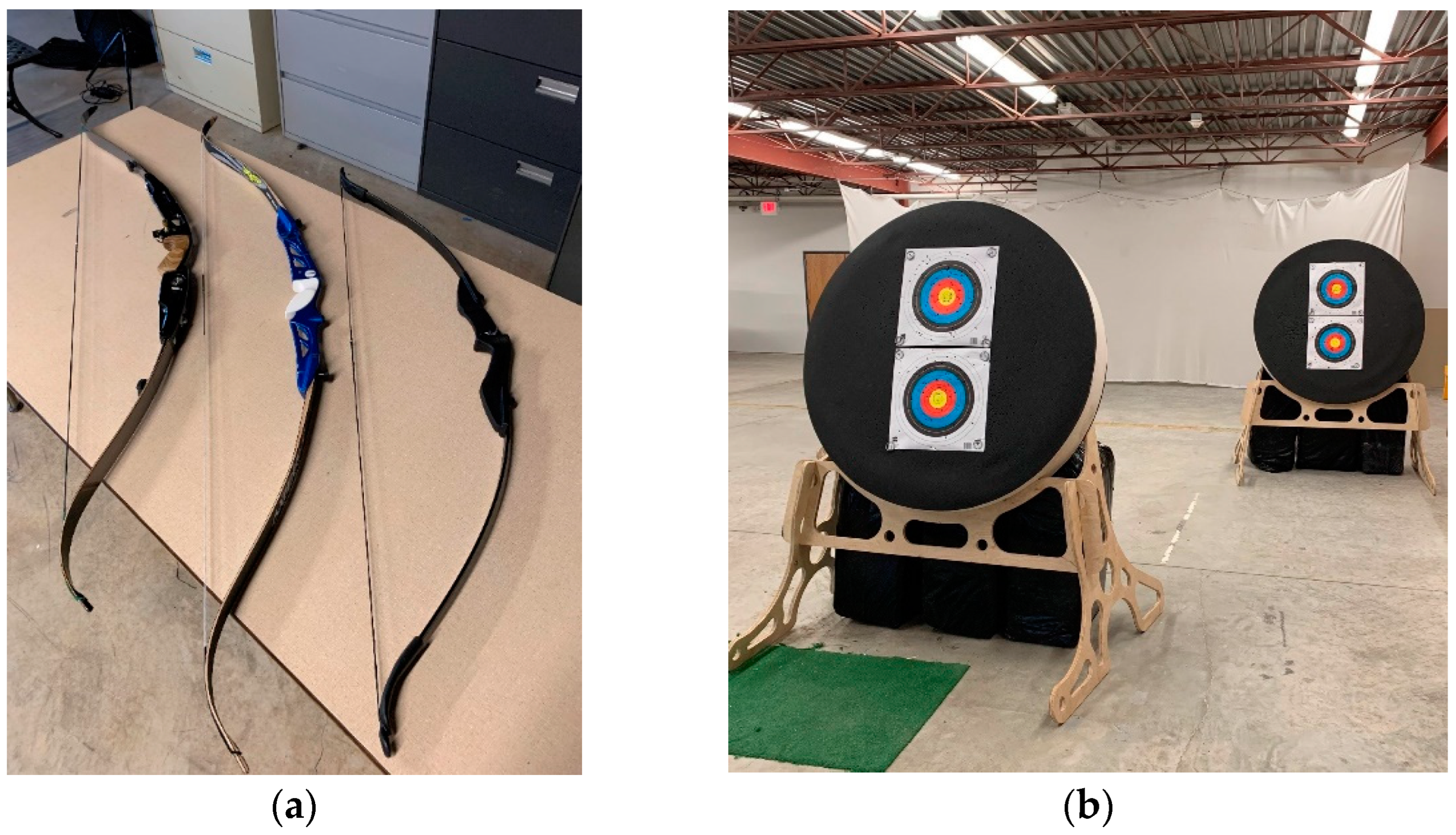 版画 WK INTERACT 2002 PISTOL TARGET WK INTERACT 2002 PISTOL TARGET