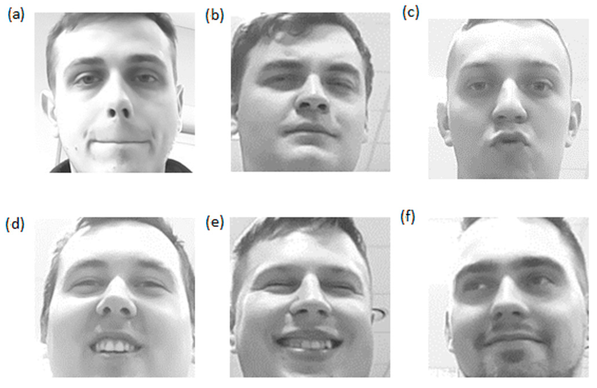 Applsci 15 00887 g013 Applsci 15 00887 g013