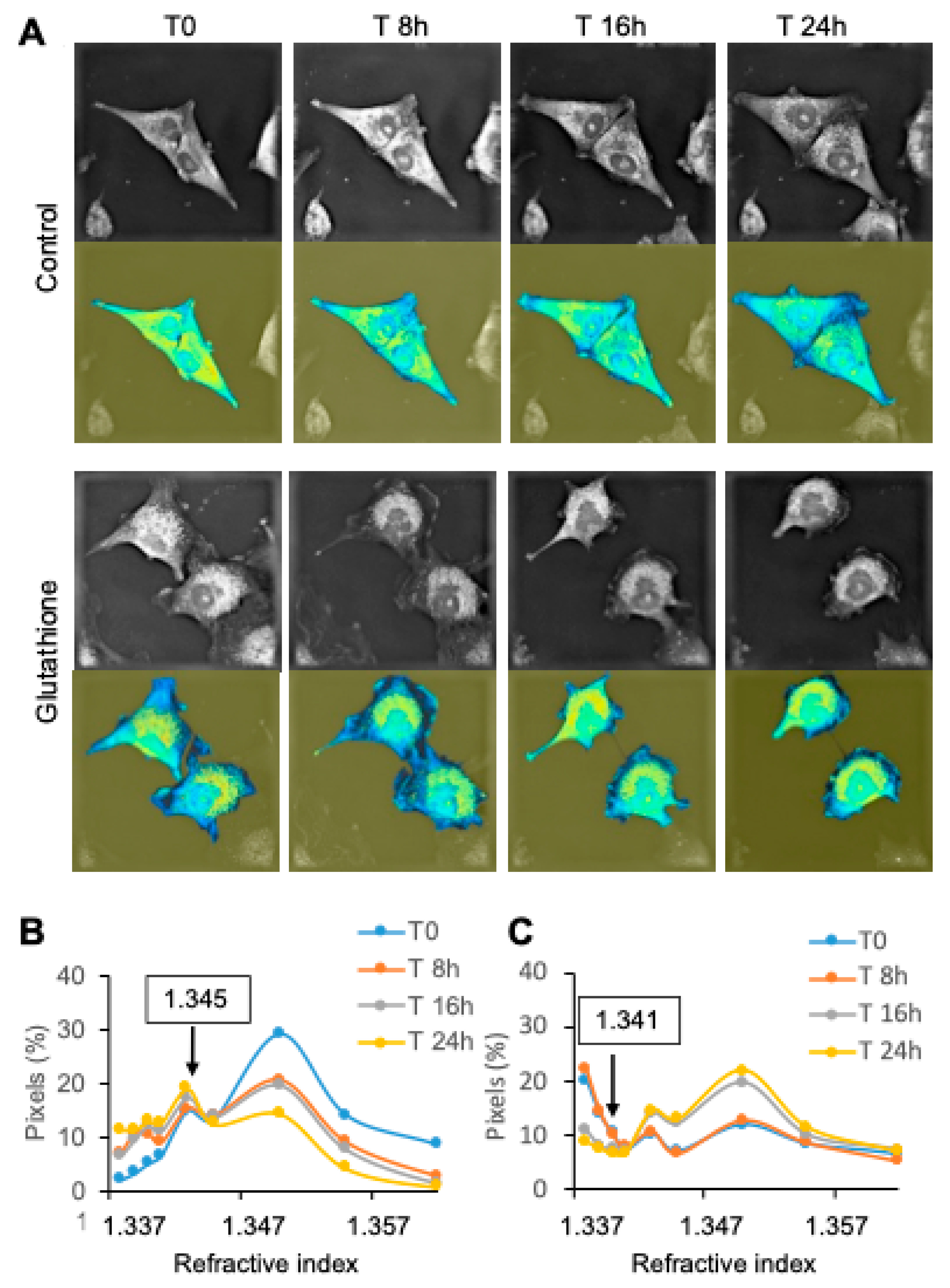 Applsci 15 00908 g003