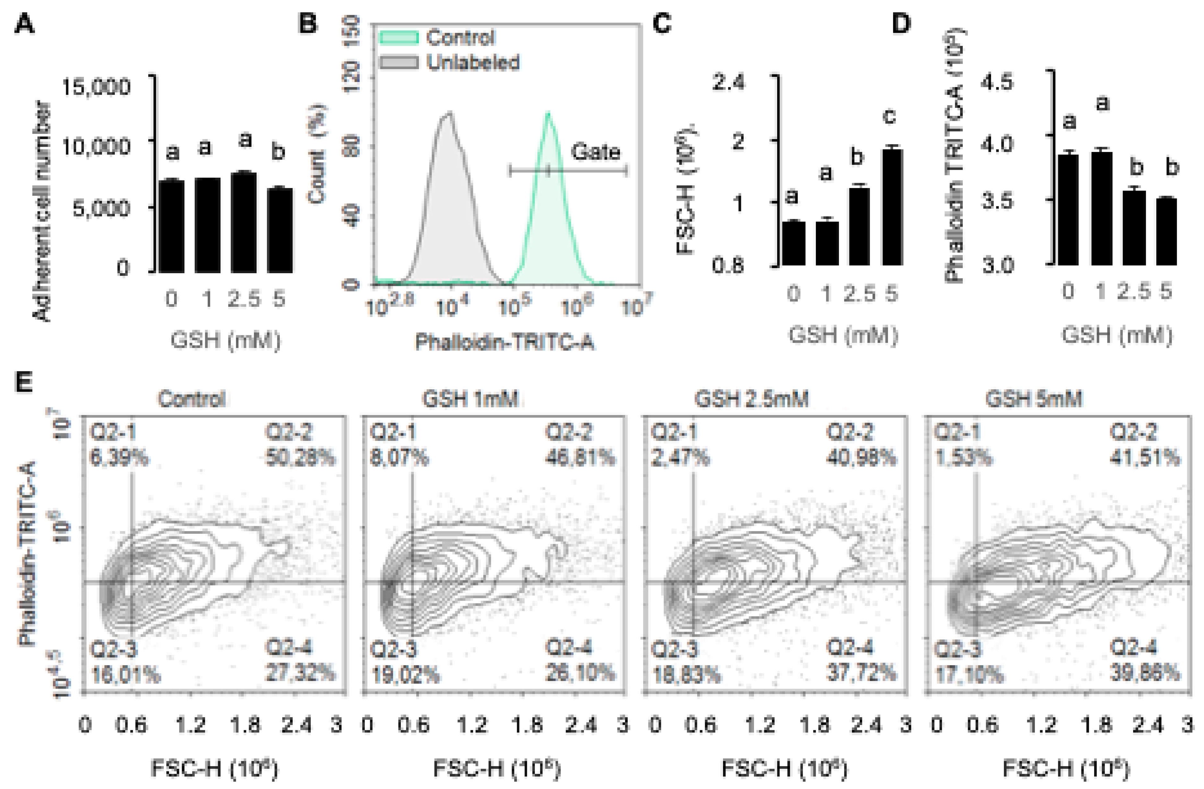 Applsci 15 00908 g004